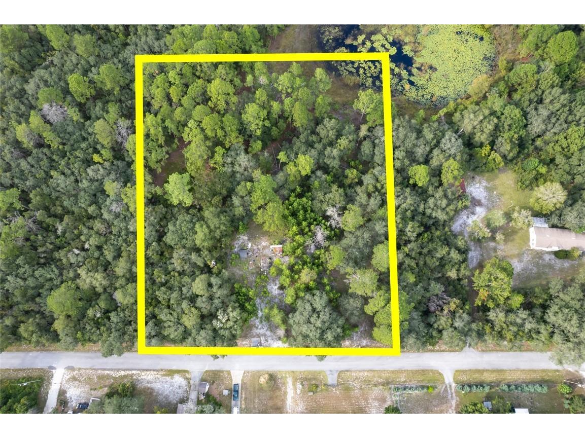 31615 Pinecrest Road Eustis FL 32736 O6346955 image1