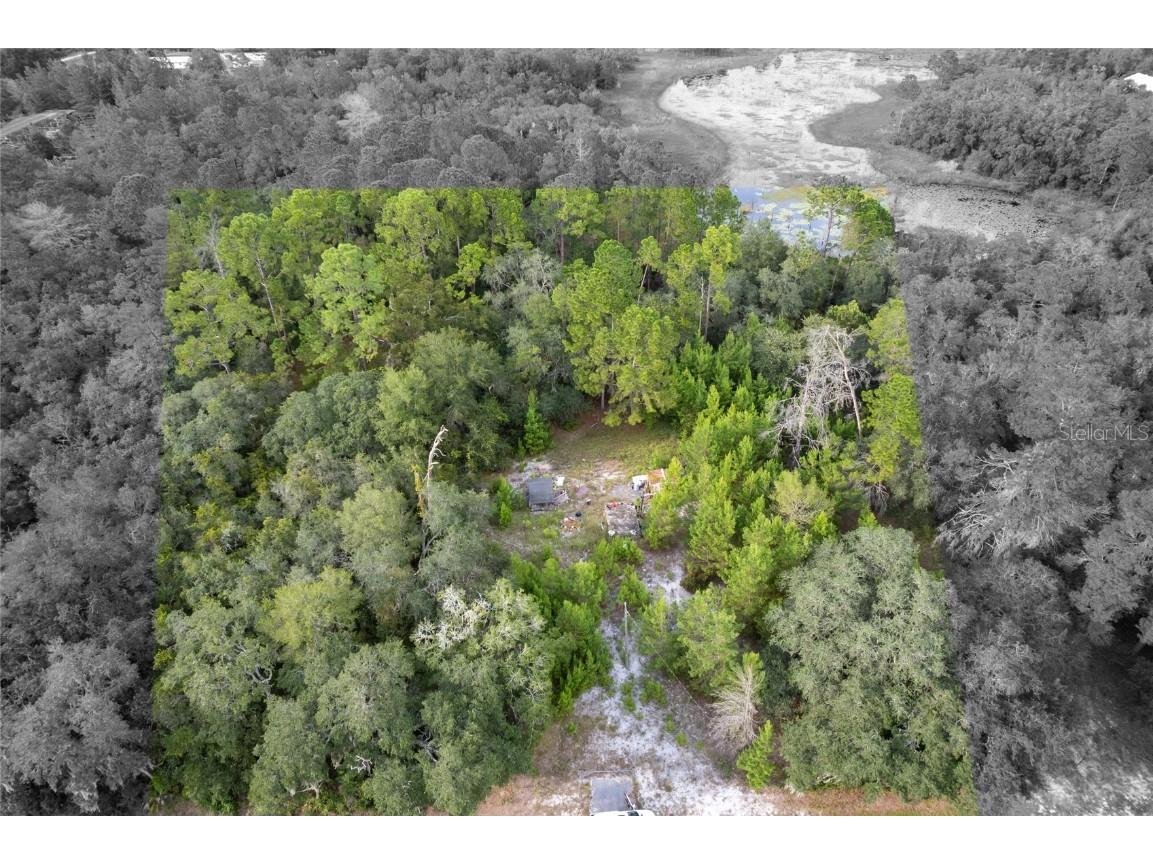 31615 Pinecrest Road Eustis FL 32736 O6346955 image2