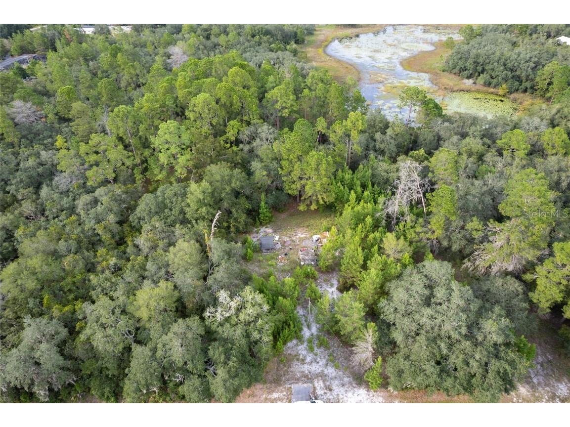 31615 Pinecrest Road Eustis FL 32736 O6346955 image3