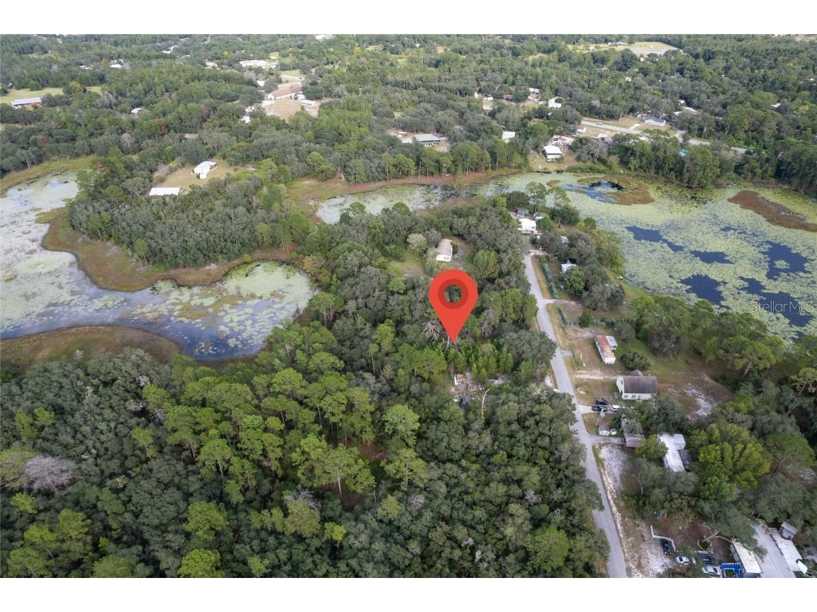 31615 Pinecrest Road Eustis FL 32736 O6346955 image4