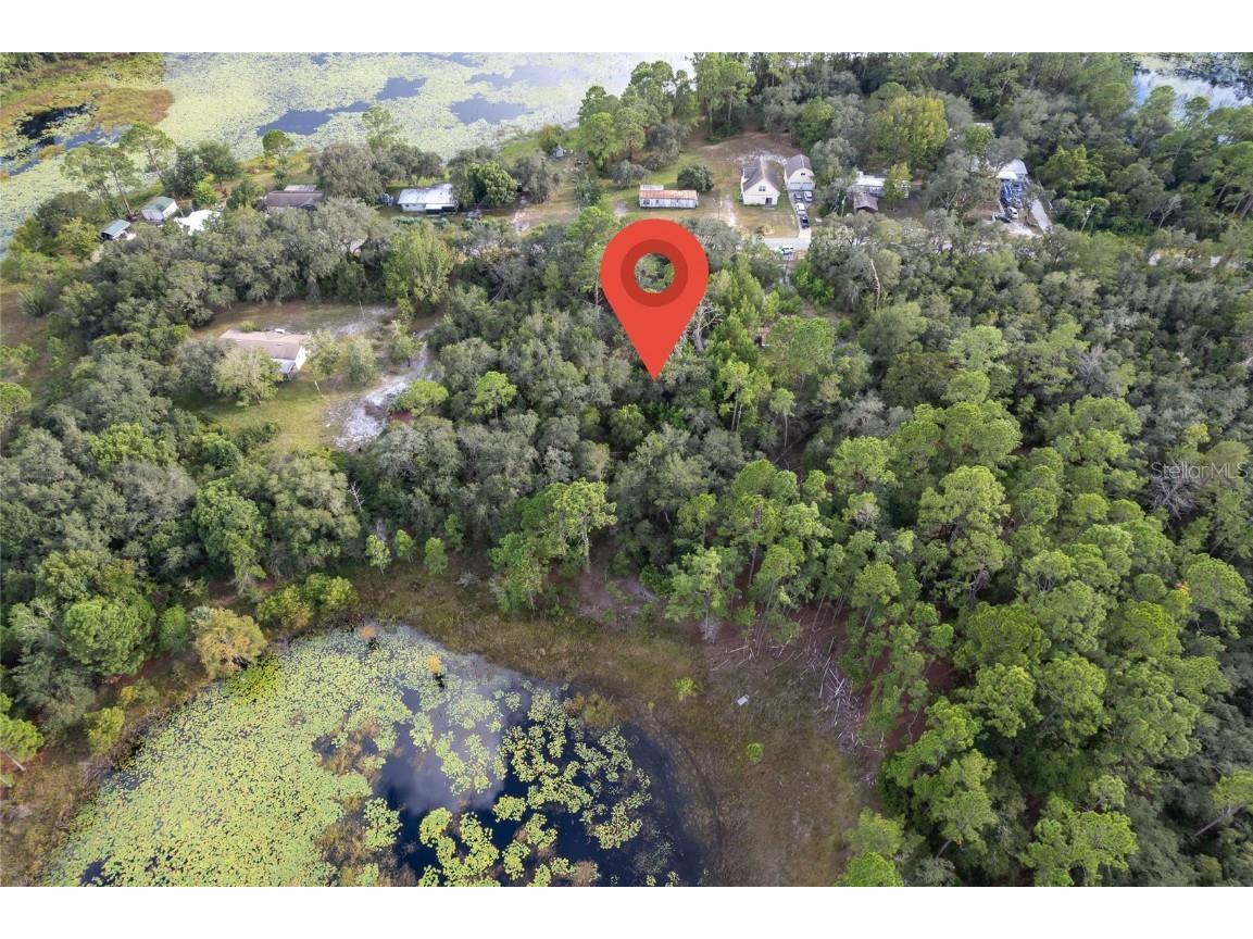 31615 Pinecrest Road Eustis FL 32736 O6346955 image5