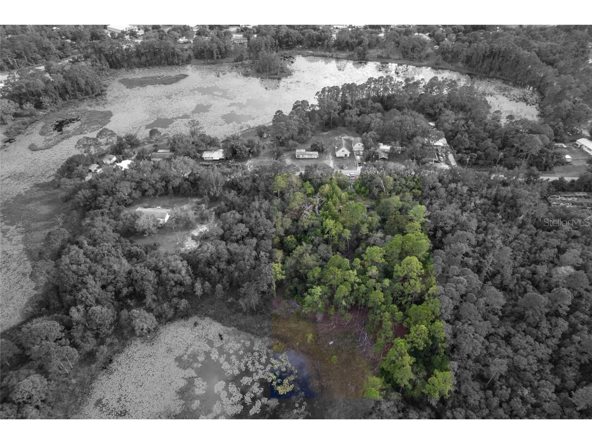 31615 Pinecrest Road Eustis FL 32736 O6346955 image6