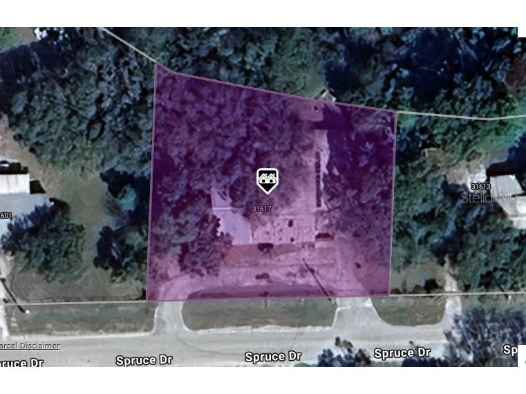 31617 Spruce Drive Eustis FL 32736 J992799 image1