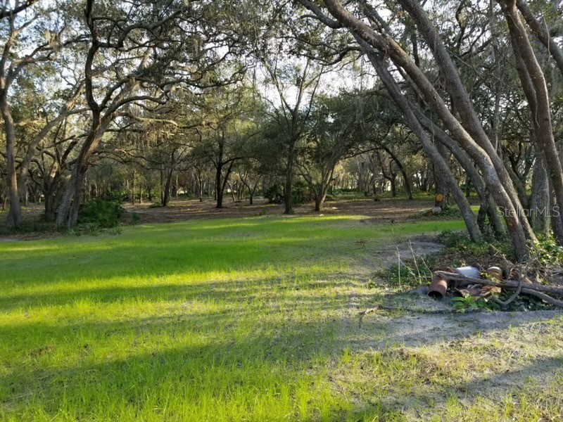 3162 Bright Lake Circle Groveland FL 34736 G5102006 image1