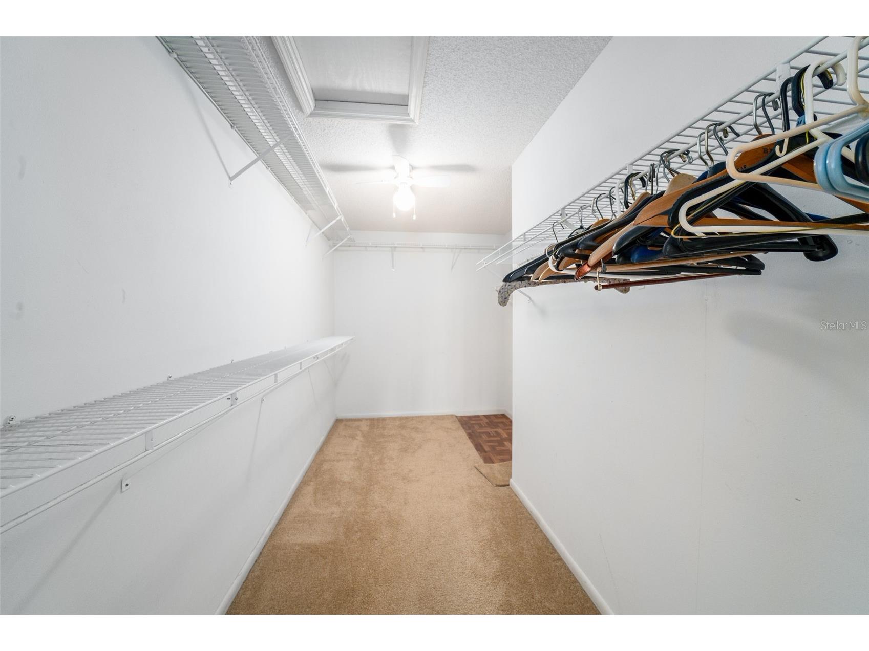 3162 E Village Drive Venice FL 34293 C7525040 image23