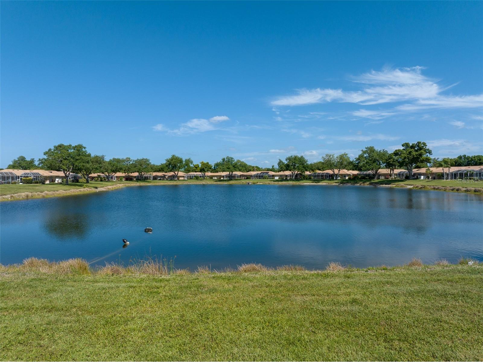 3162 E Village Drive Venice FL 34293 C7525040 image35