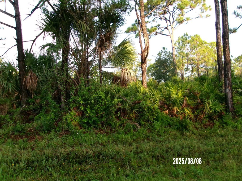 3162 Milan Street Port Charlotte FL 33981 C7513464 image6