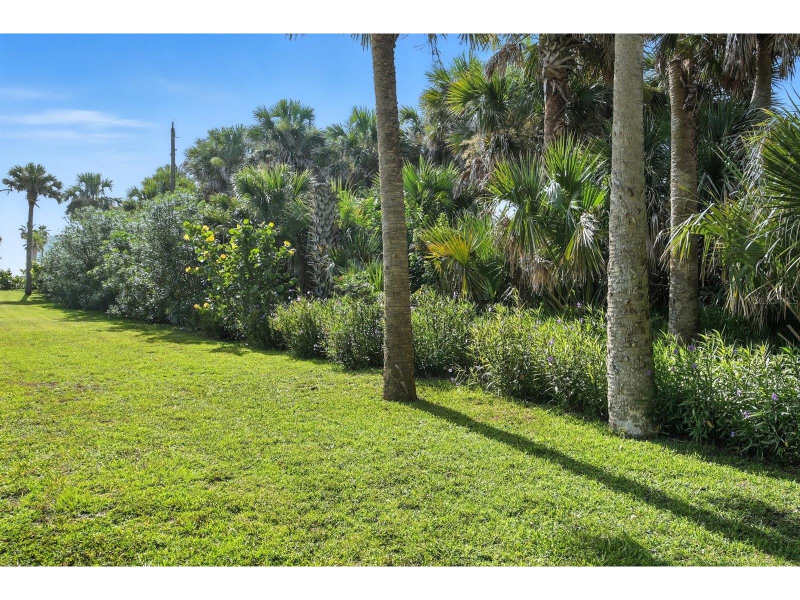 3162 N Ocean Shore Boulevard Flagler Beach FL 32136 - FOX CUT FC317273 image13