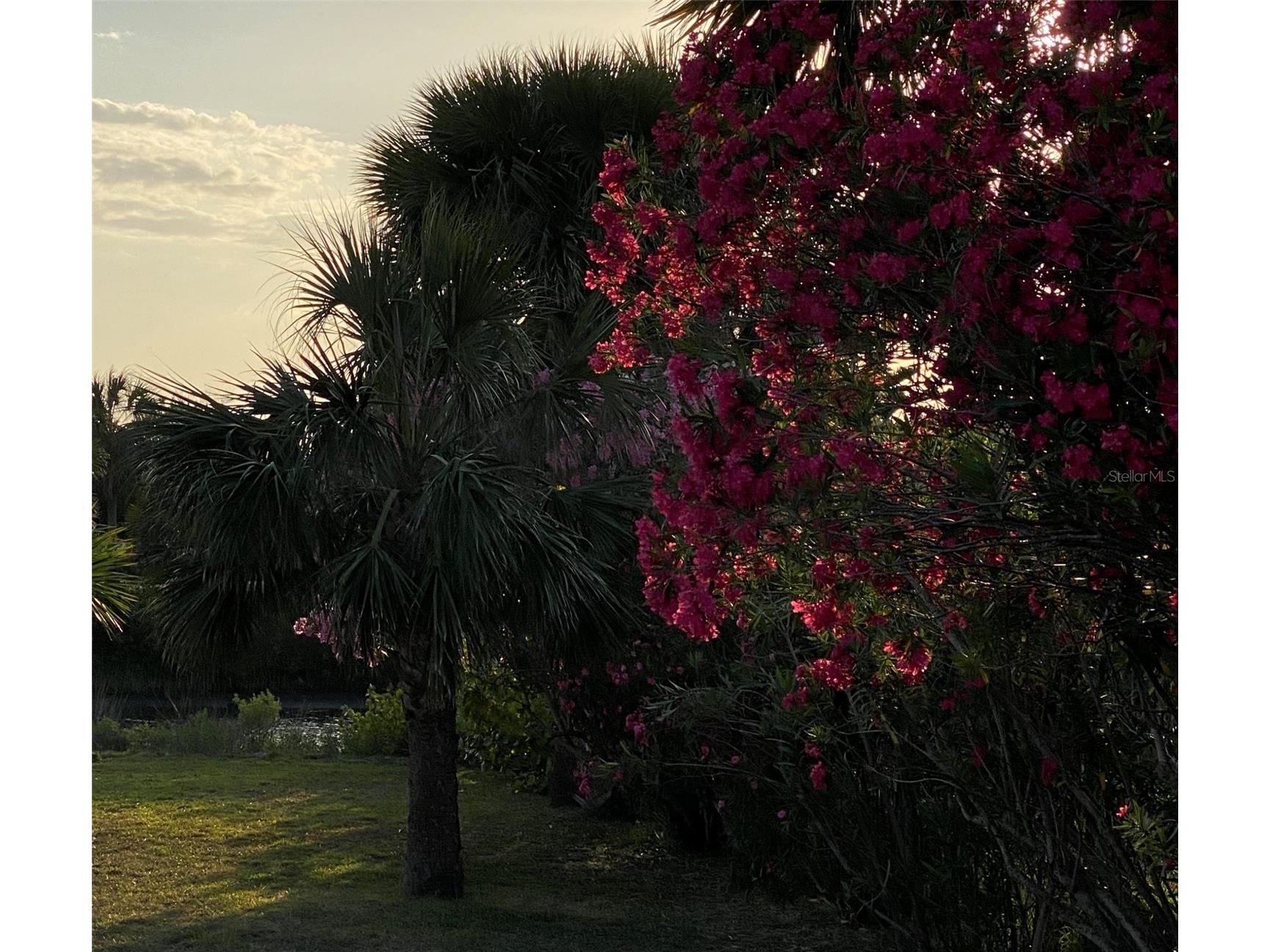 3162 N Ocean Shore Boulevard Flagler Beach FL 32136 - FOX CUT FC317273 image16