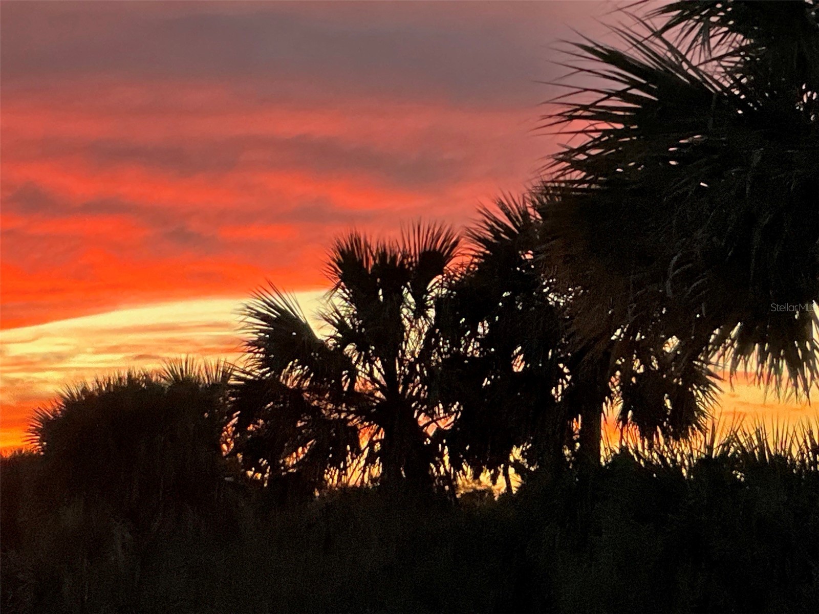 3162 N Ocean Shore Boulevard Flagler Beach FL 32136 - FOX CUT FC317273 image47