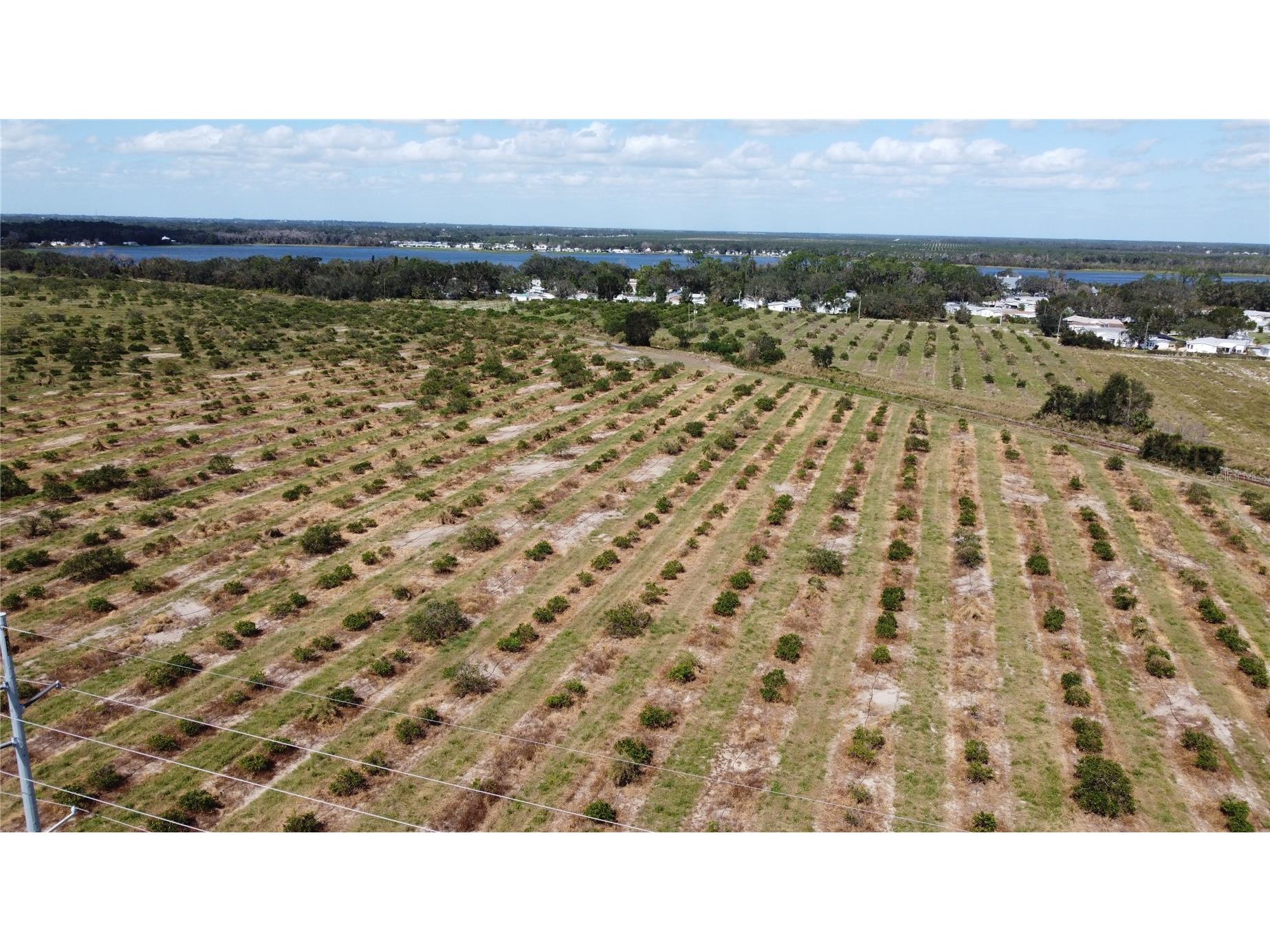 3162 Power Line Road Avon Park FL 33825 TB8500013 image3