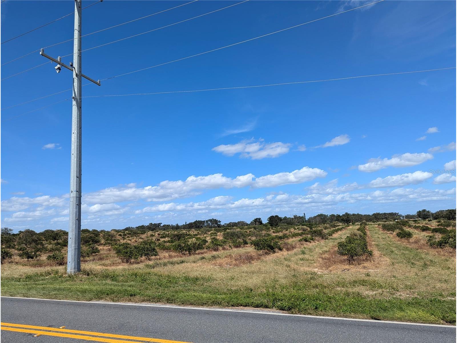 3162 Power Line Road Avon Park FL 33825 TB8500013 image7