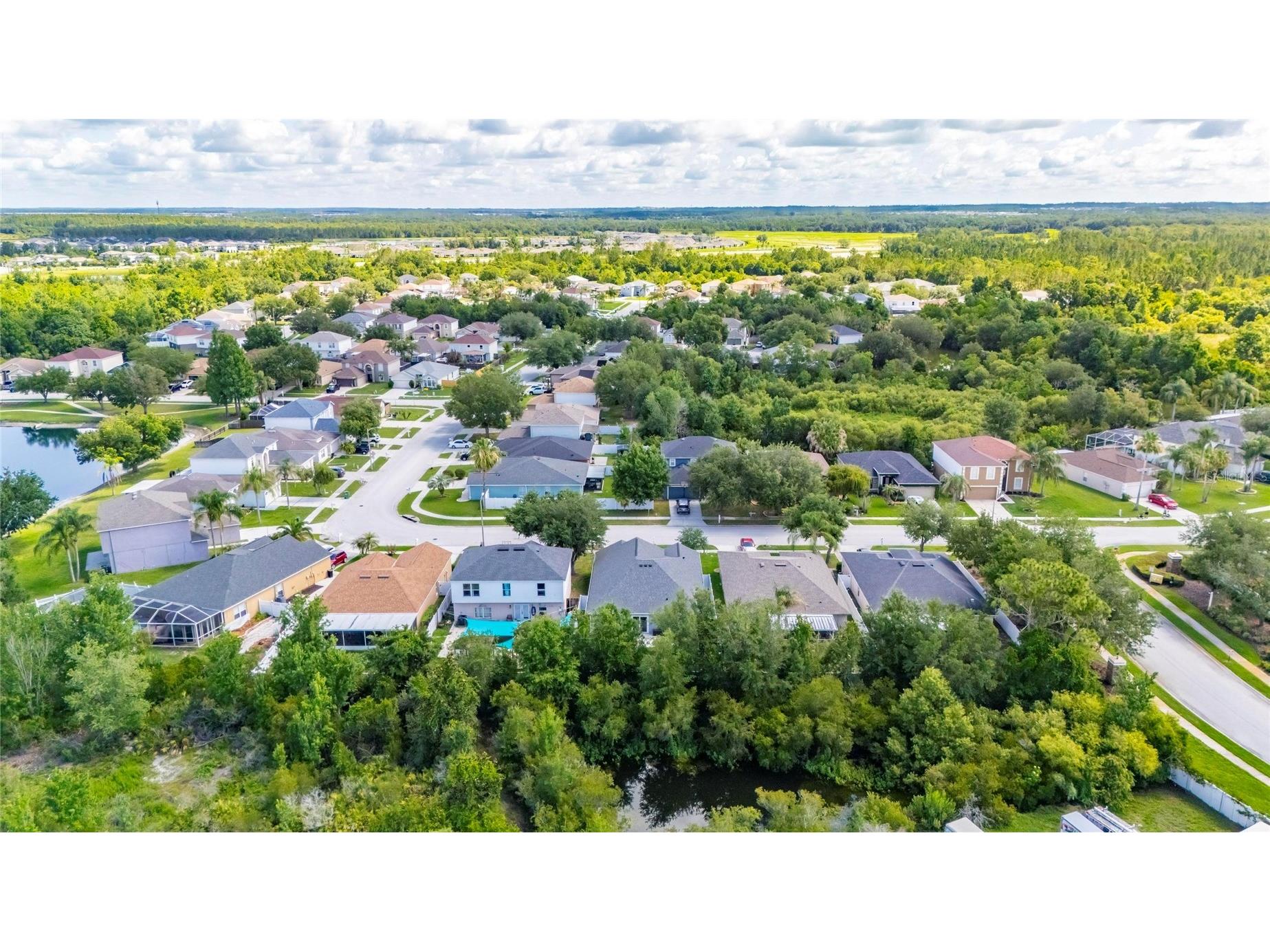 31620 Loch Aline Drive Wesley Chapel FL 33545 TB8514738 image68