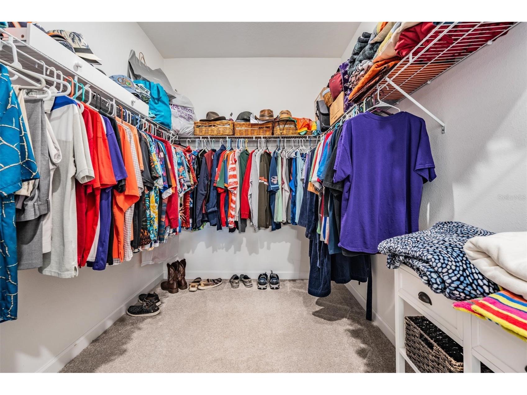 31625 Cannon Rush Drive San Antonio FL 33576 TB8482294 image16
