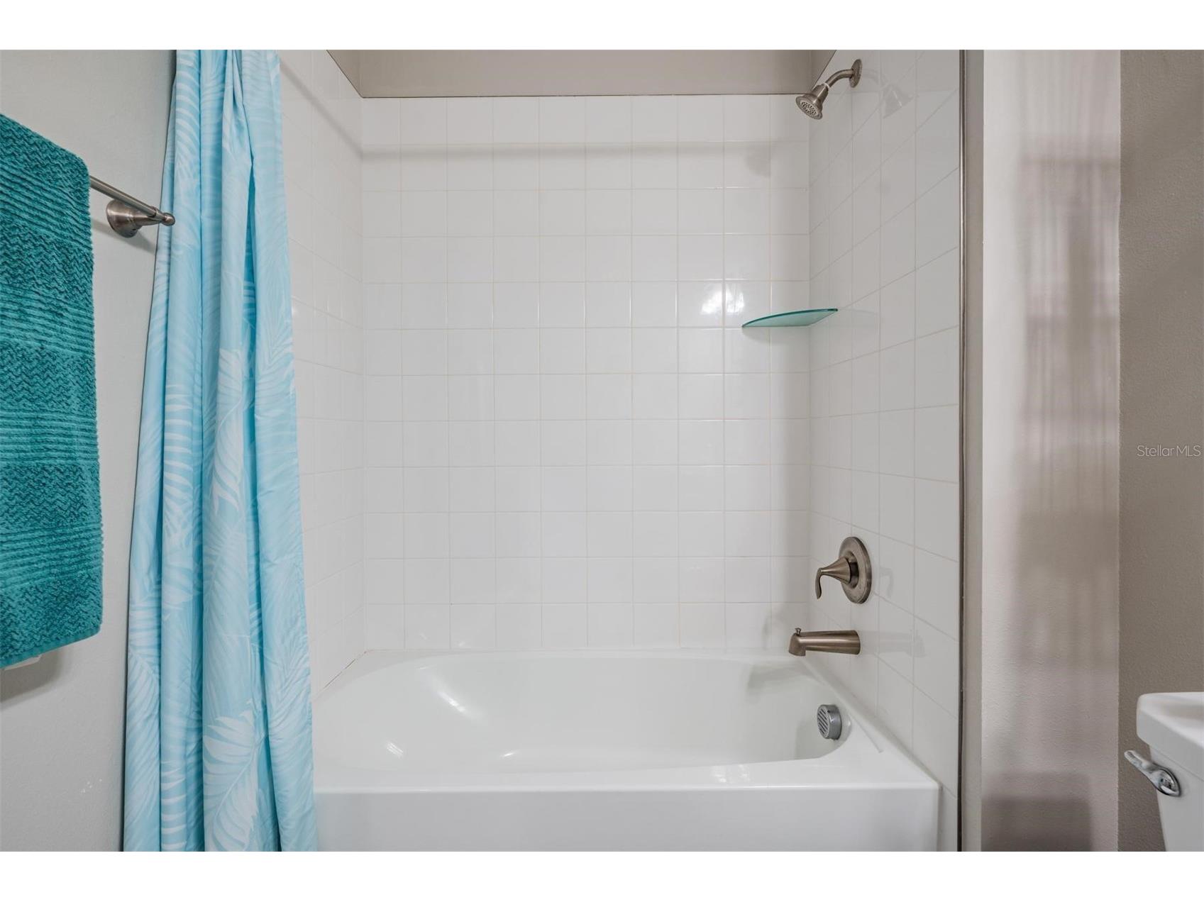 31625 Cannon Rush Drive San Antonio FL 33576 TB8482294 image21