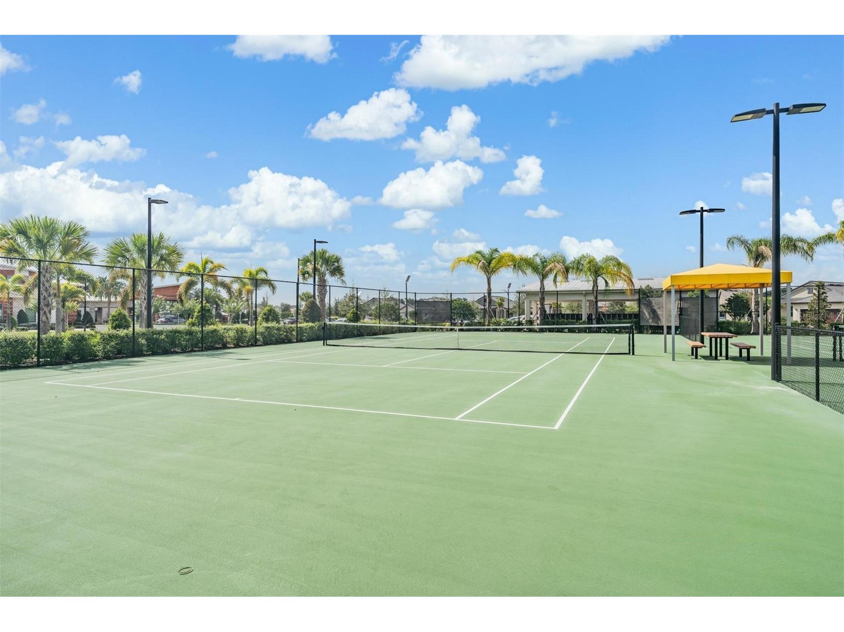 31625 Cannon Rush Drive San Antonio FL 33576 TB8482294 image77