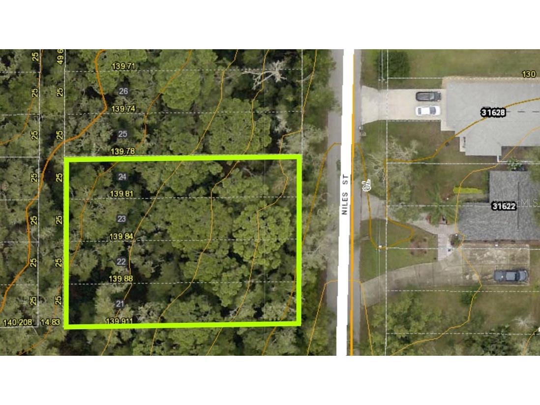 31625 Niles Street Sorrento FL 32776 - WEKIVA RIVER G5093864 image1