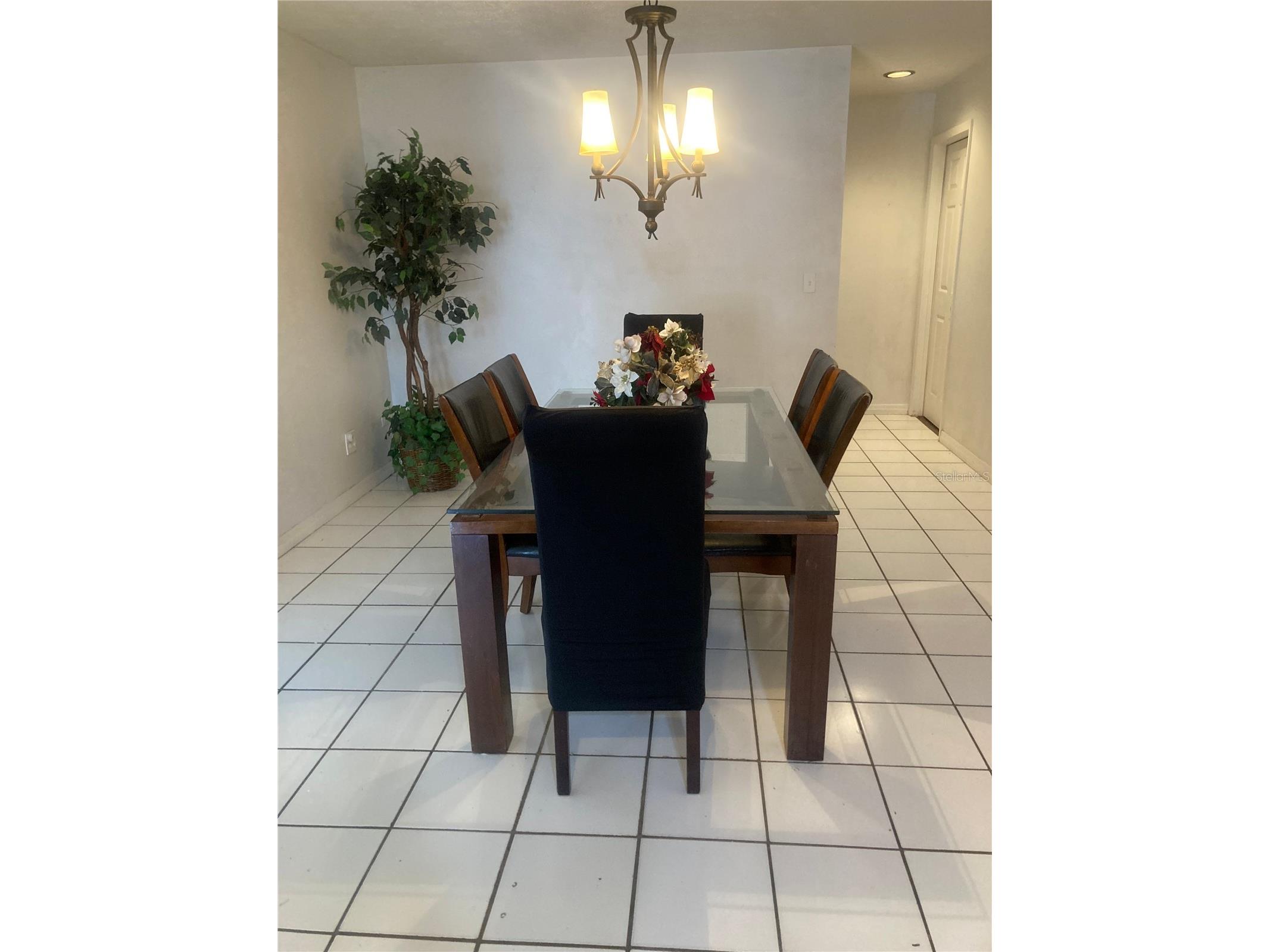31639 Stirrup Lane Wesley Chapel FL 33543 O6398197 image10