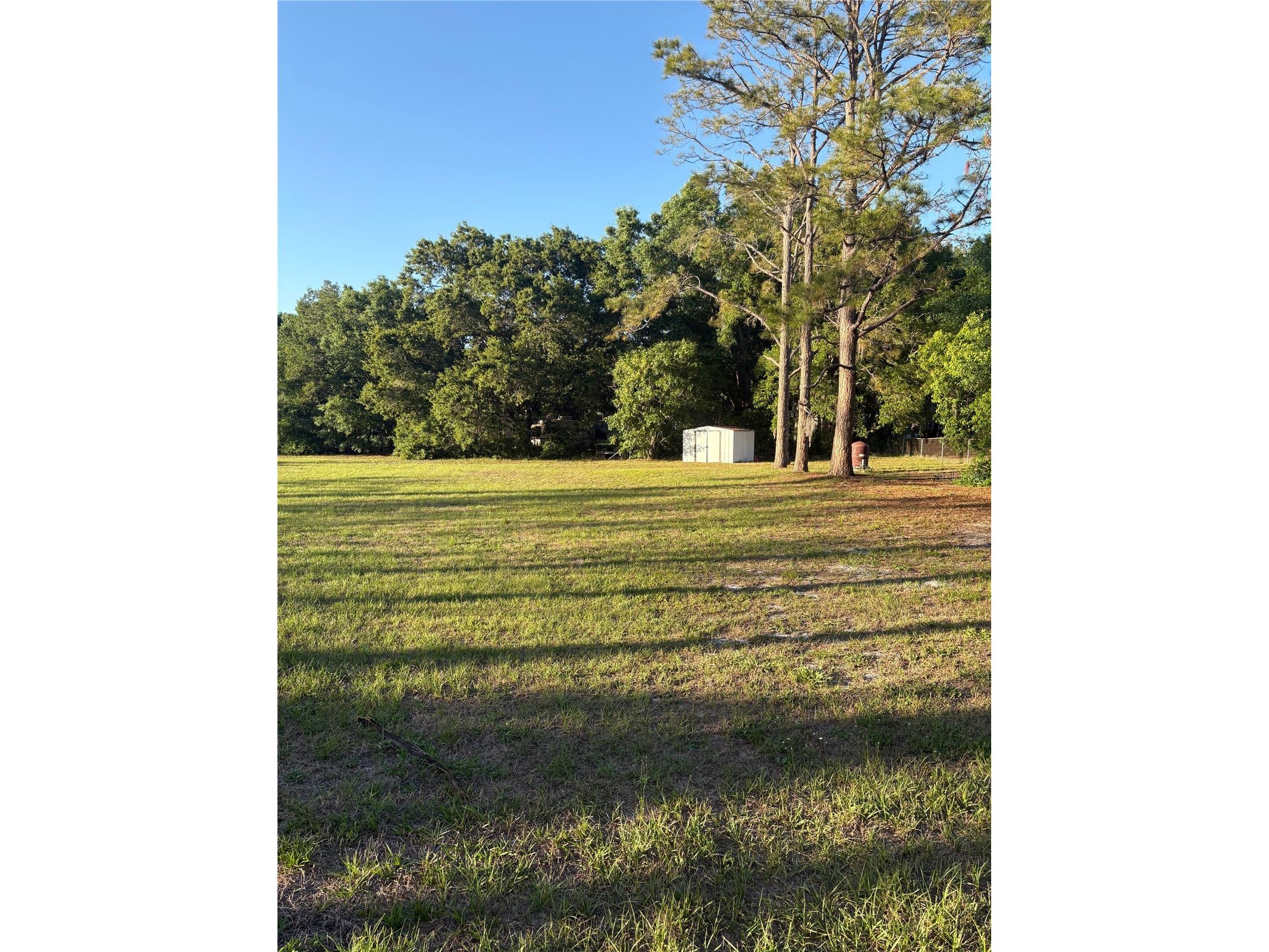 31639 Stirrup Lane Wesley Chapel FL 33543 O6398197 image11