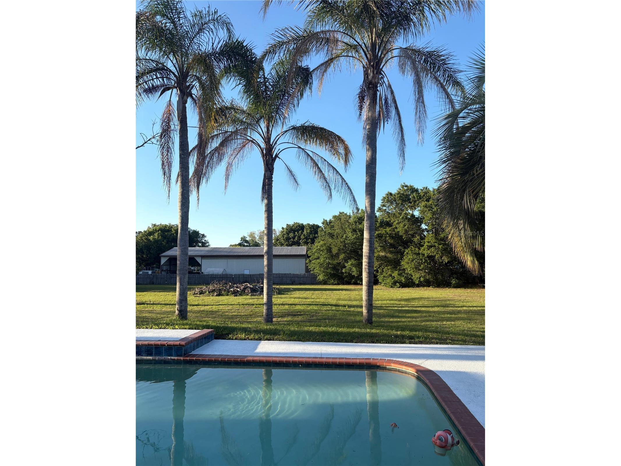 31639 Stirrup Lane Wesley Chapel FL 33543 O6398197 image12