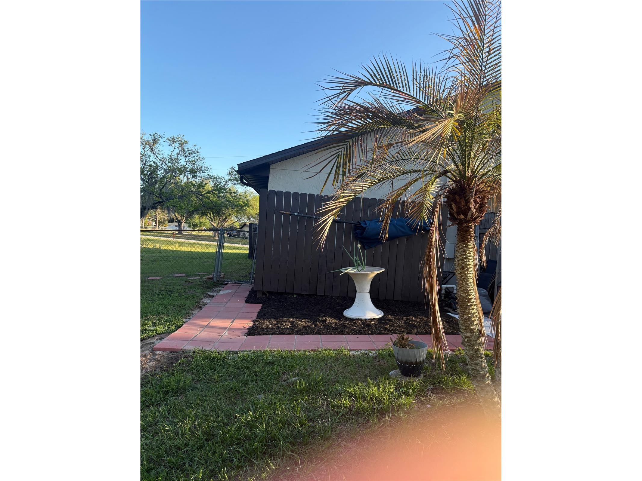 31639 Stirrup Lane Wesley Chapel FL 33543 O6398197 image13
