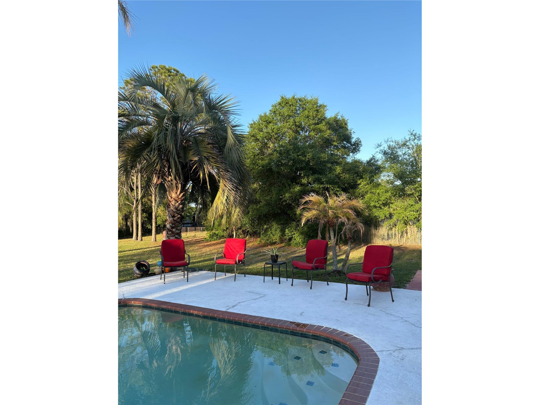 31639 Stirrup Lane Wesley Chapel FL 33543 O6398197 image14