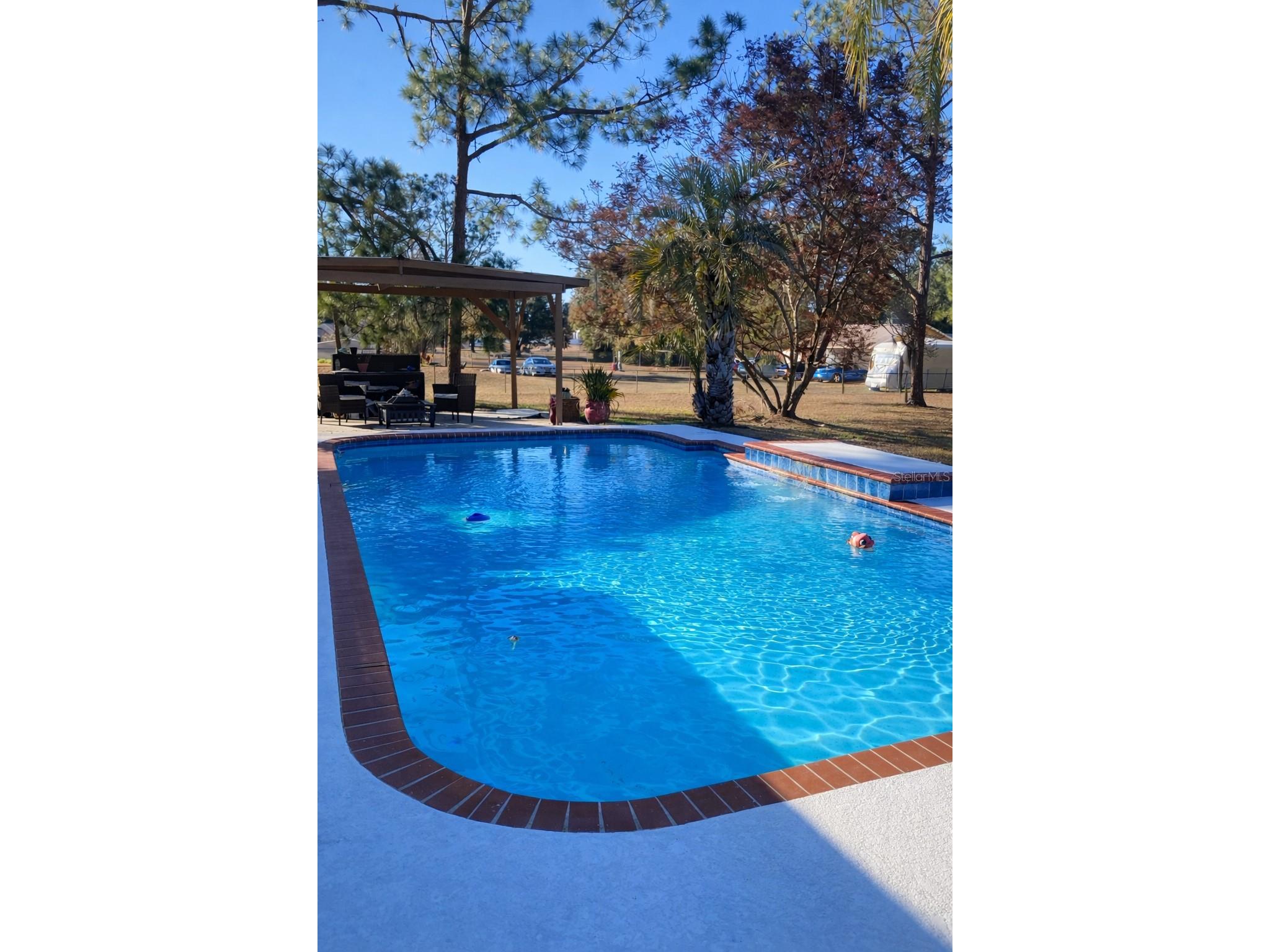31639 Stirrup Lane Wesley Chapel FL 33543 O6398197 image2