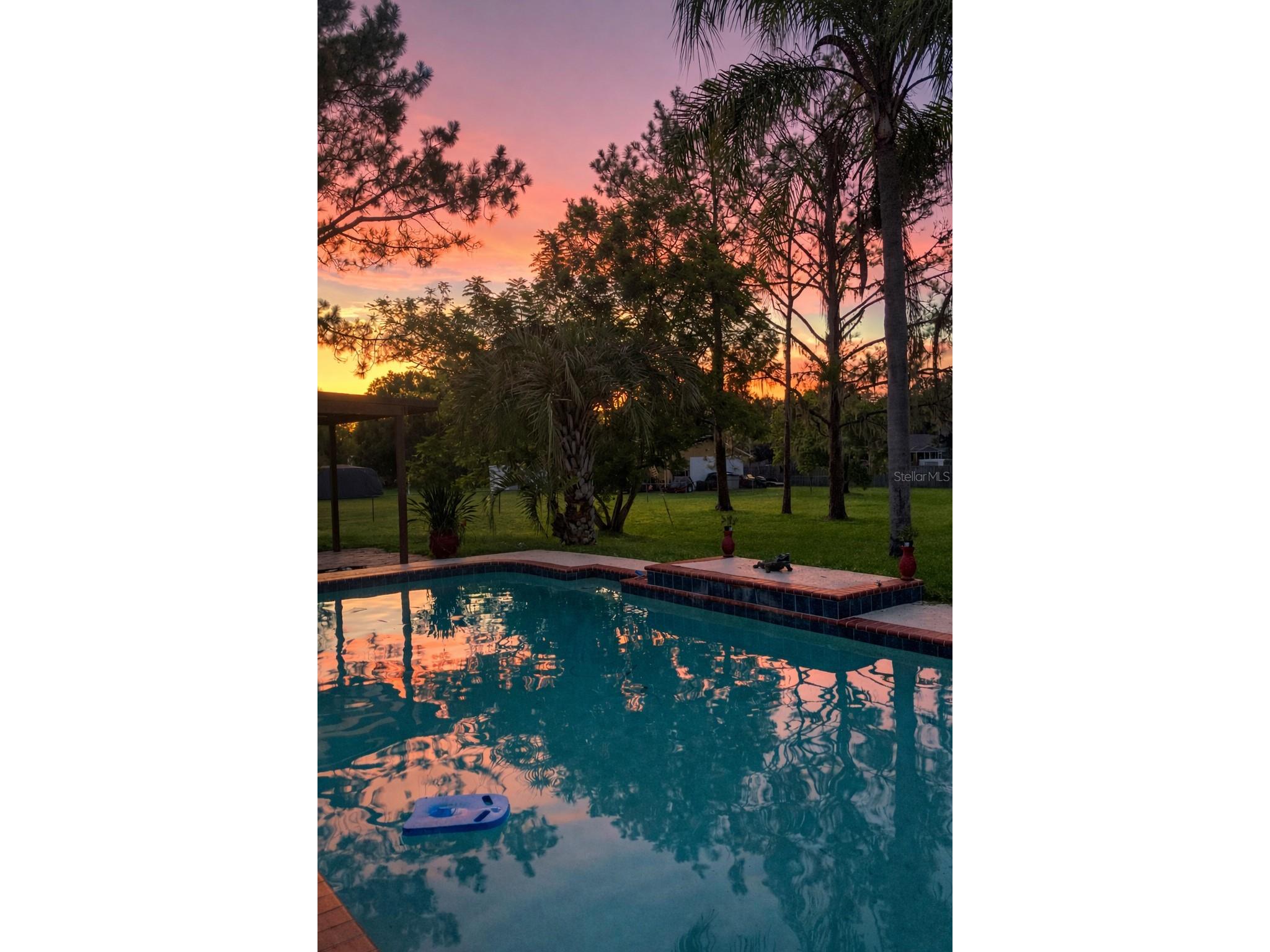 31639 Stirrup Lane Wesley Chapel FL 33543 O6398197 image3