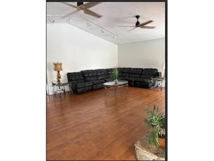 31639 Stirrup Lane Wesley Chapel FL 33543 O6398197 image5