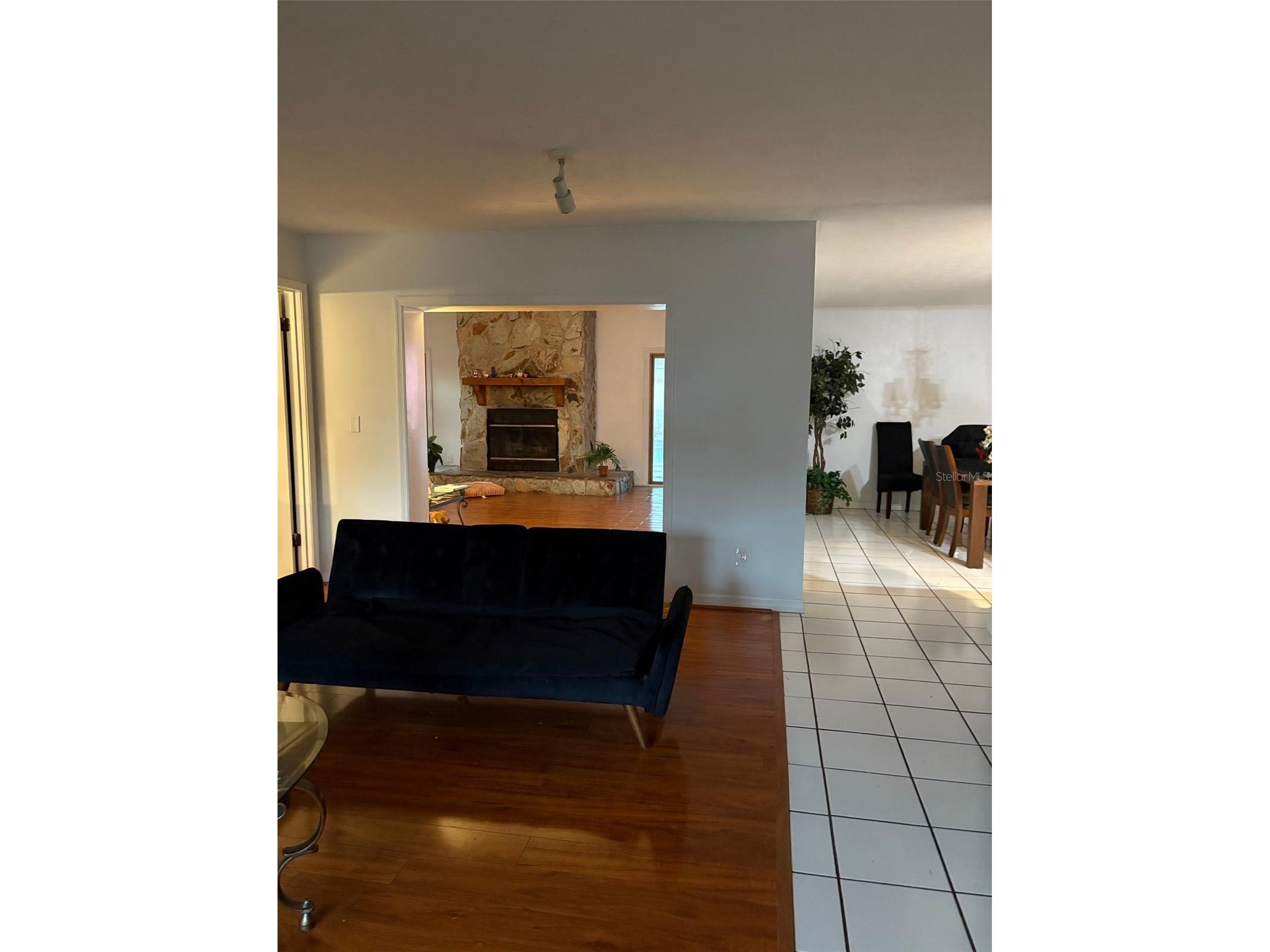31639 Stirrup Lane Wesley Chapel FL 33543 O6398197 image7