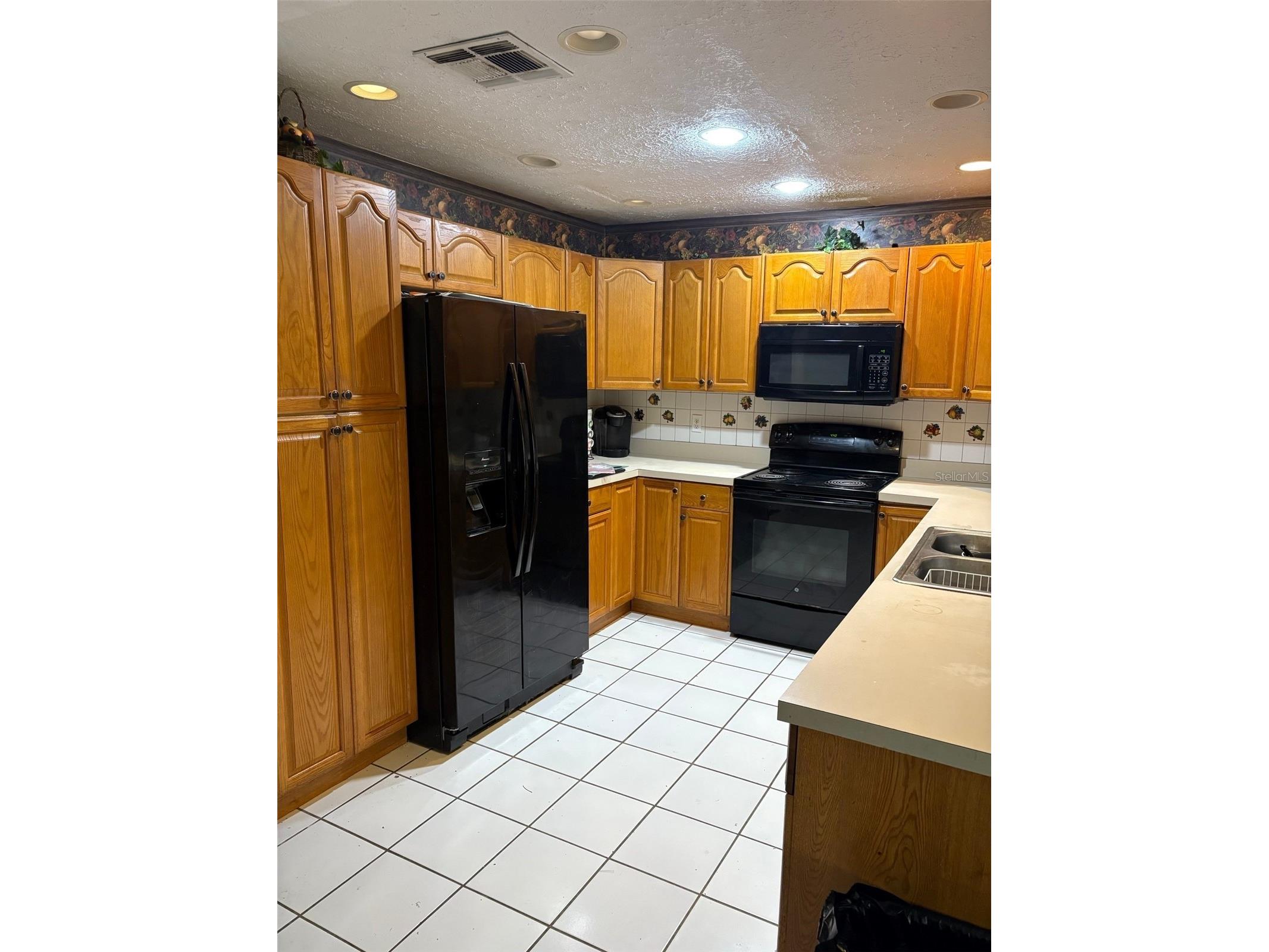 31639 Stirrup Lane Wesley Chapel FL 33543 O6398197 image8