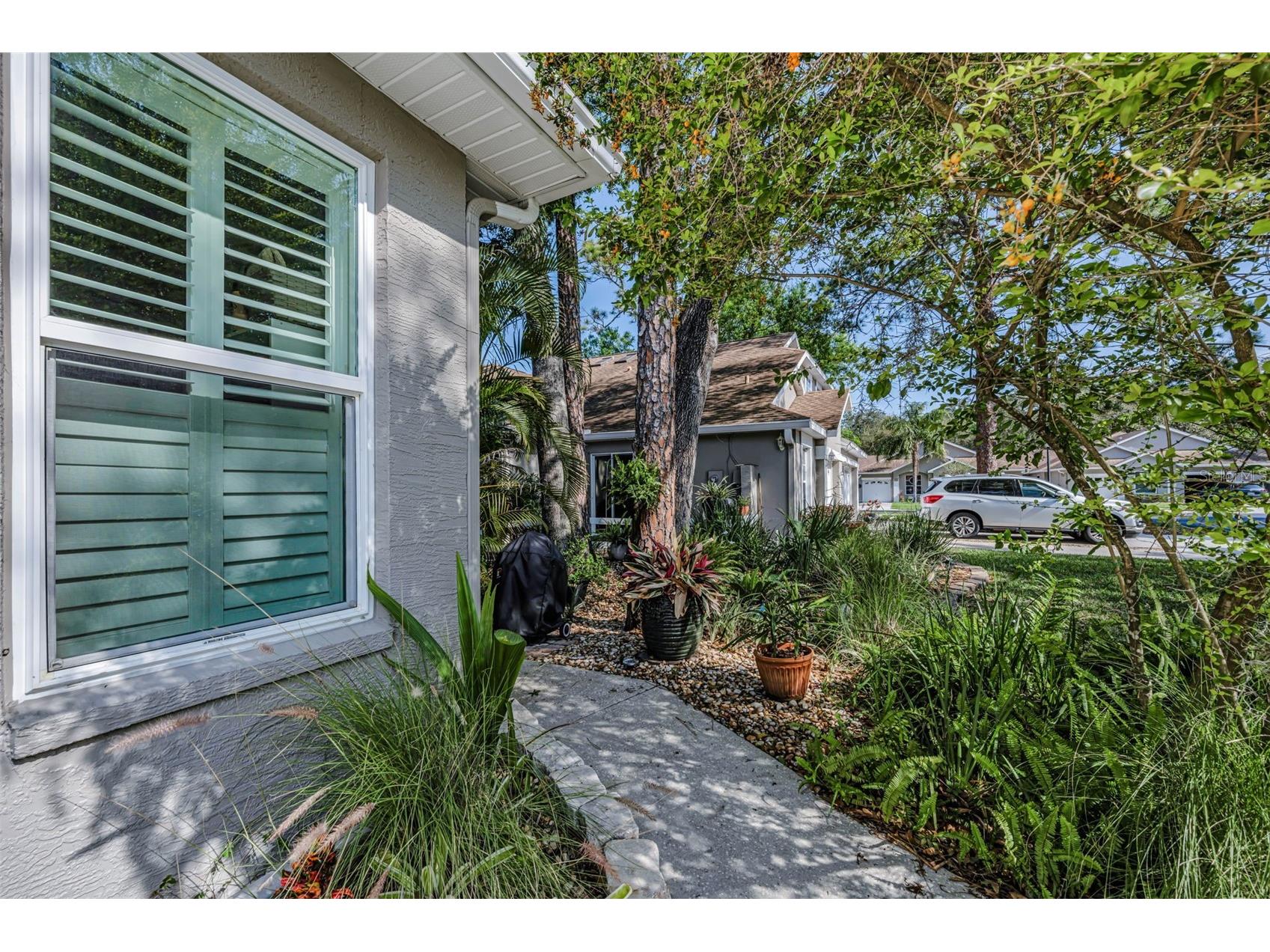 3164 Brooker Creek Way Palm Harbor FL 34685 TB8486837 image2
