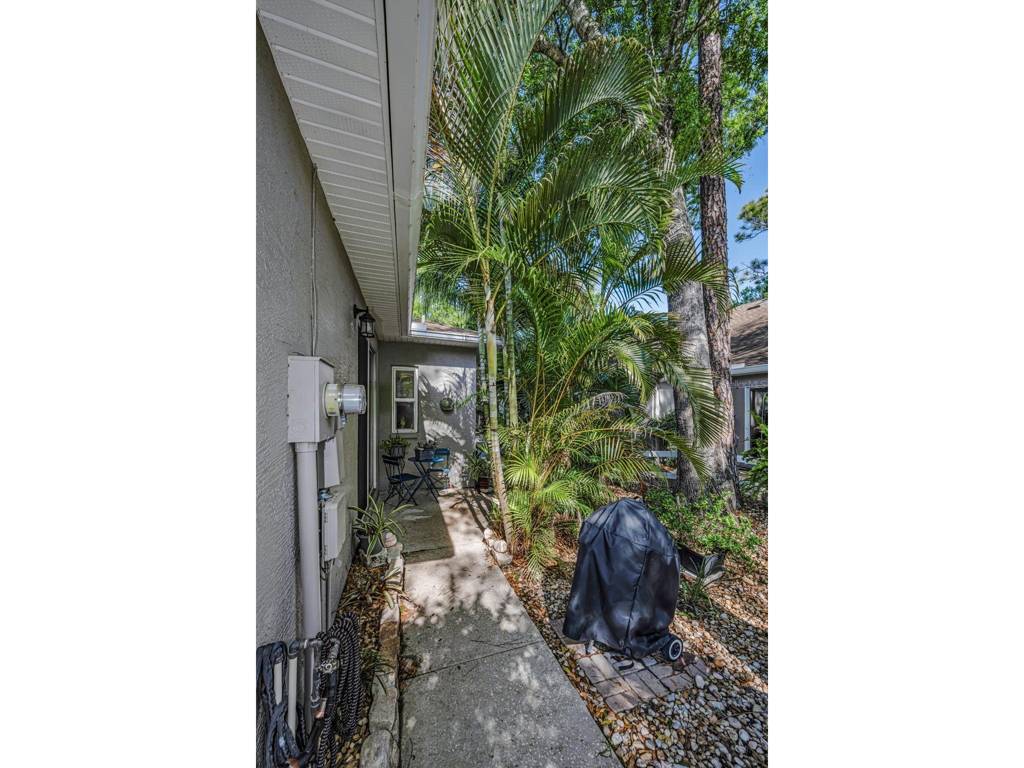 3164 Brooker Creek Way Palm Harbor FL 34685 TB8486837 image3