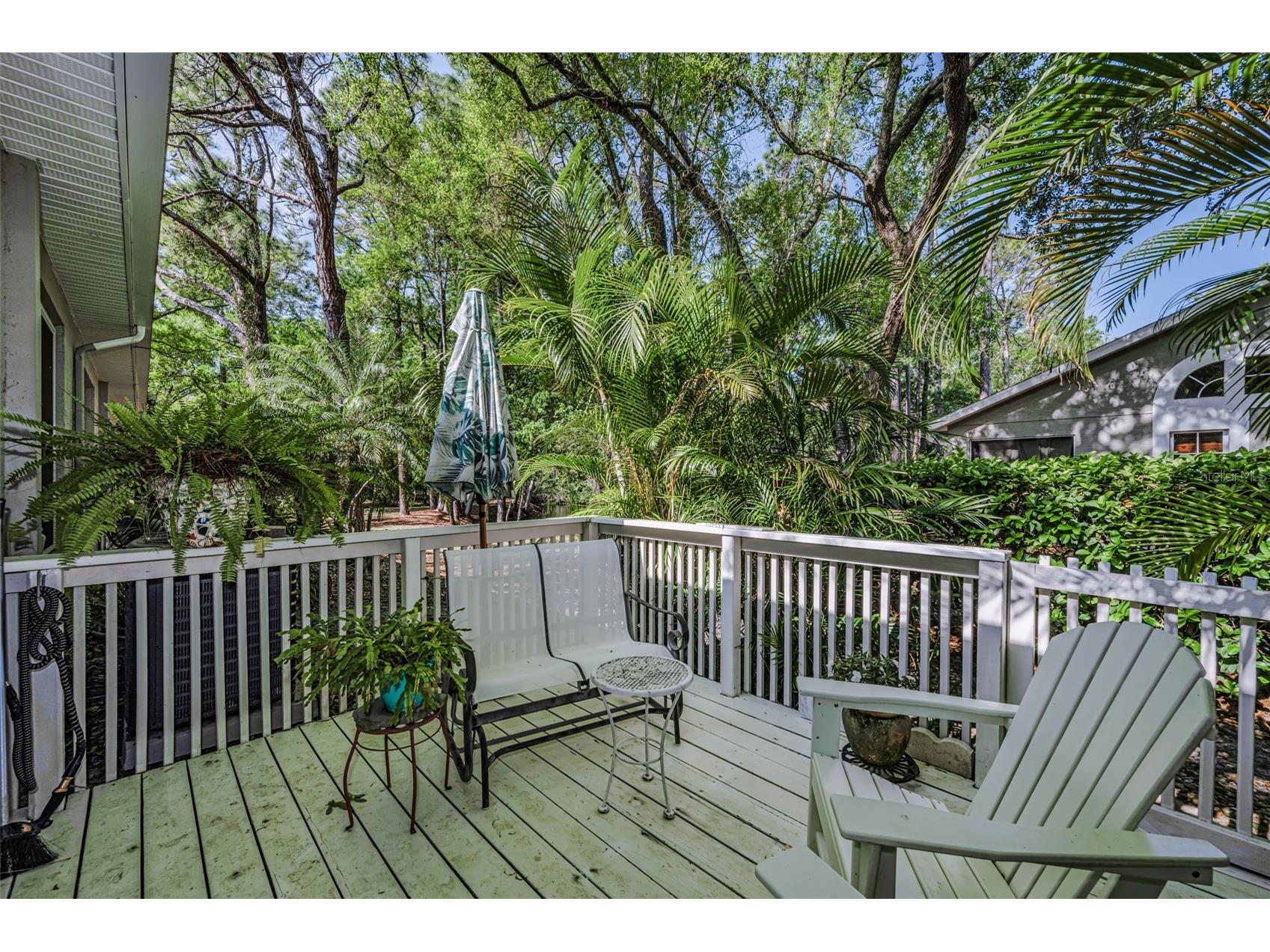 3164 Brooker Creek Way Palm Harbor FL 34685 TB8486837 image34