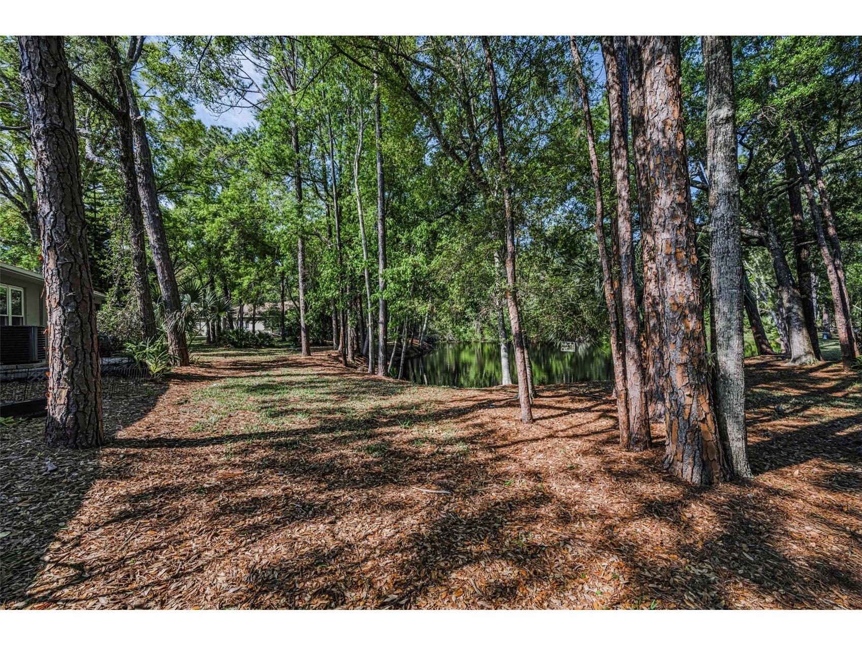 3164 Brooker Creek Way Palm Harbor FL 34685 TB8486837 image38