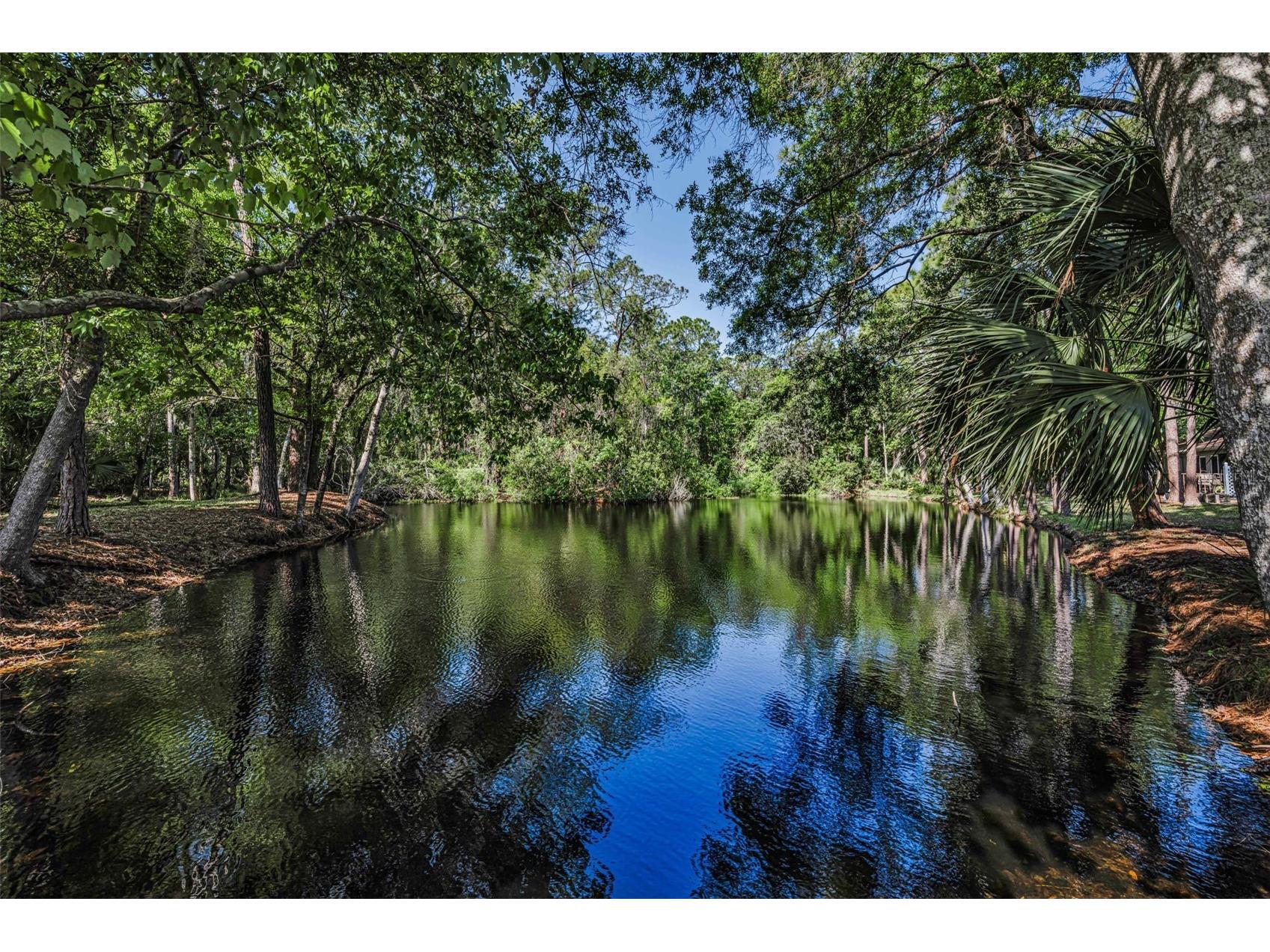 3164 Brooker Creek Way Palm Harbor FL 34685 TB8486837 image39