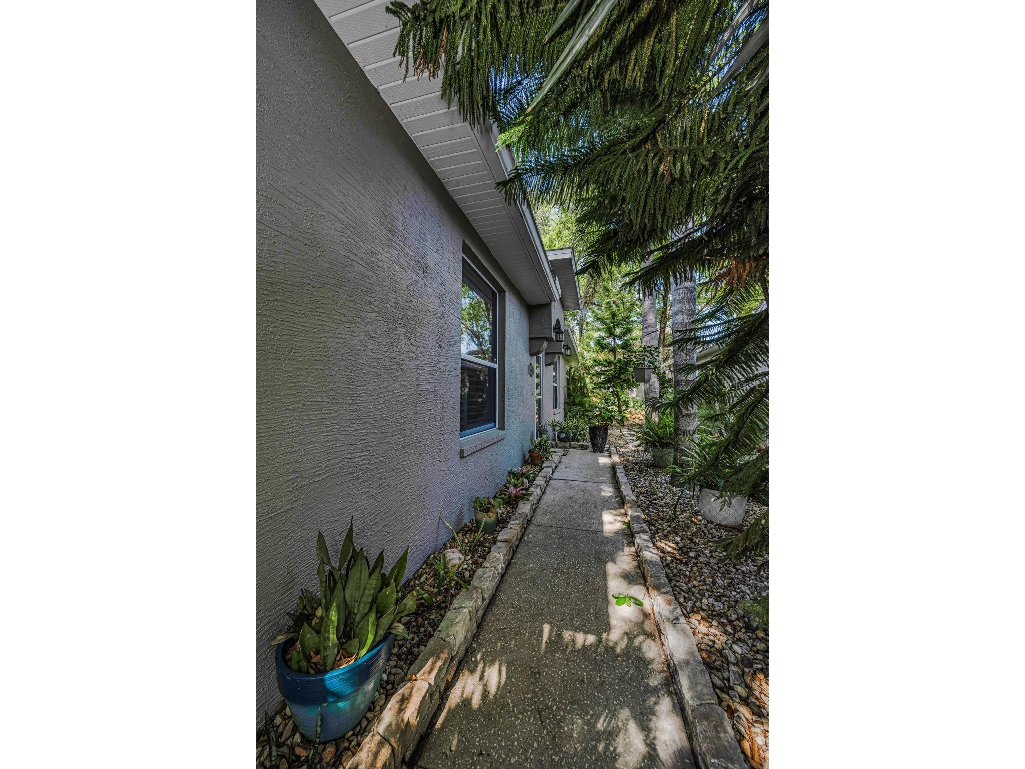 3164 Brooker Creek Way Palm Harbor FL 34685 TB8486837 image4