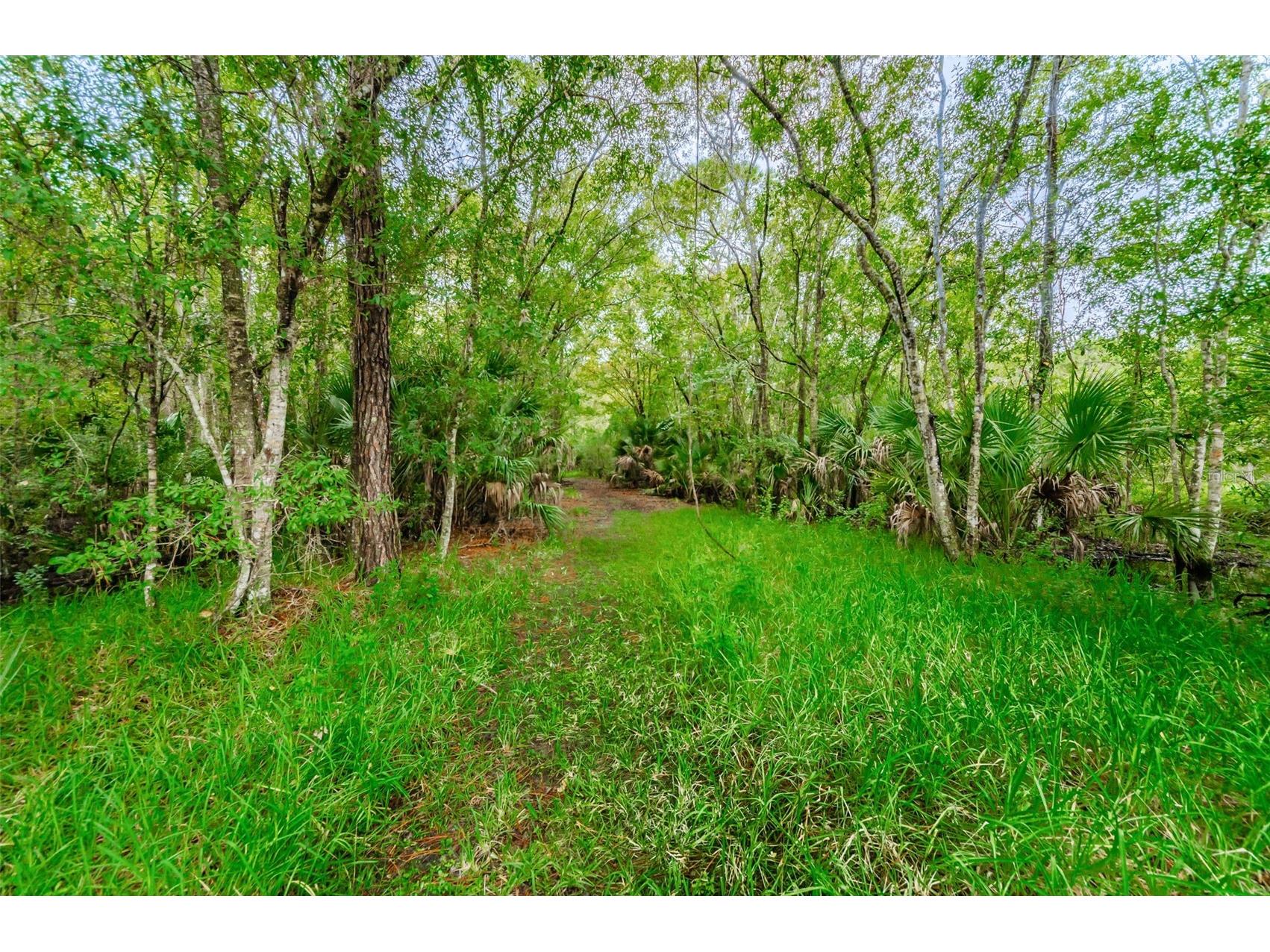 3164 Brooker Creek Way Palm Harbor FL 34685 TB8486837 image41