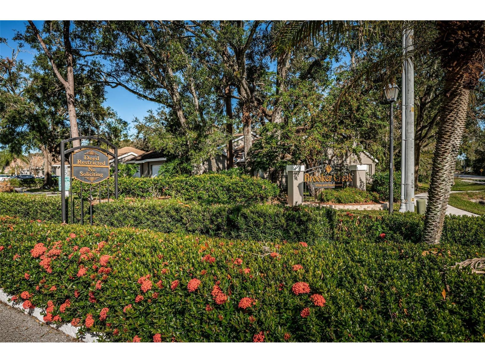 3164 Brooker Creek Way Palm Harbor FL 34685 TB8486837 image47