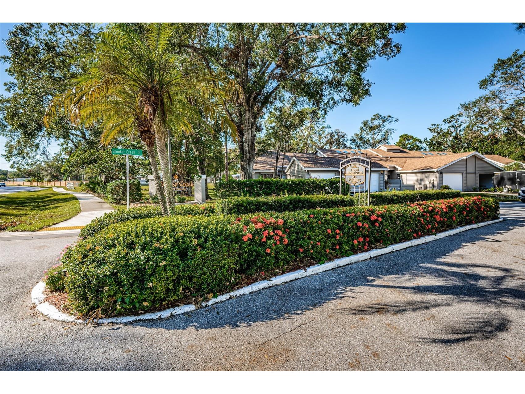 3164 Brooker Creek Way Palm Harbor FL 34685 TB8486837 image49