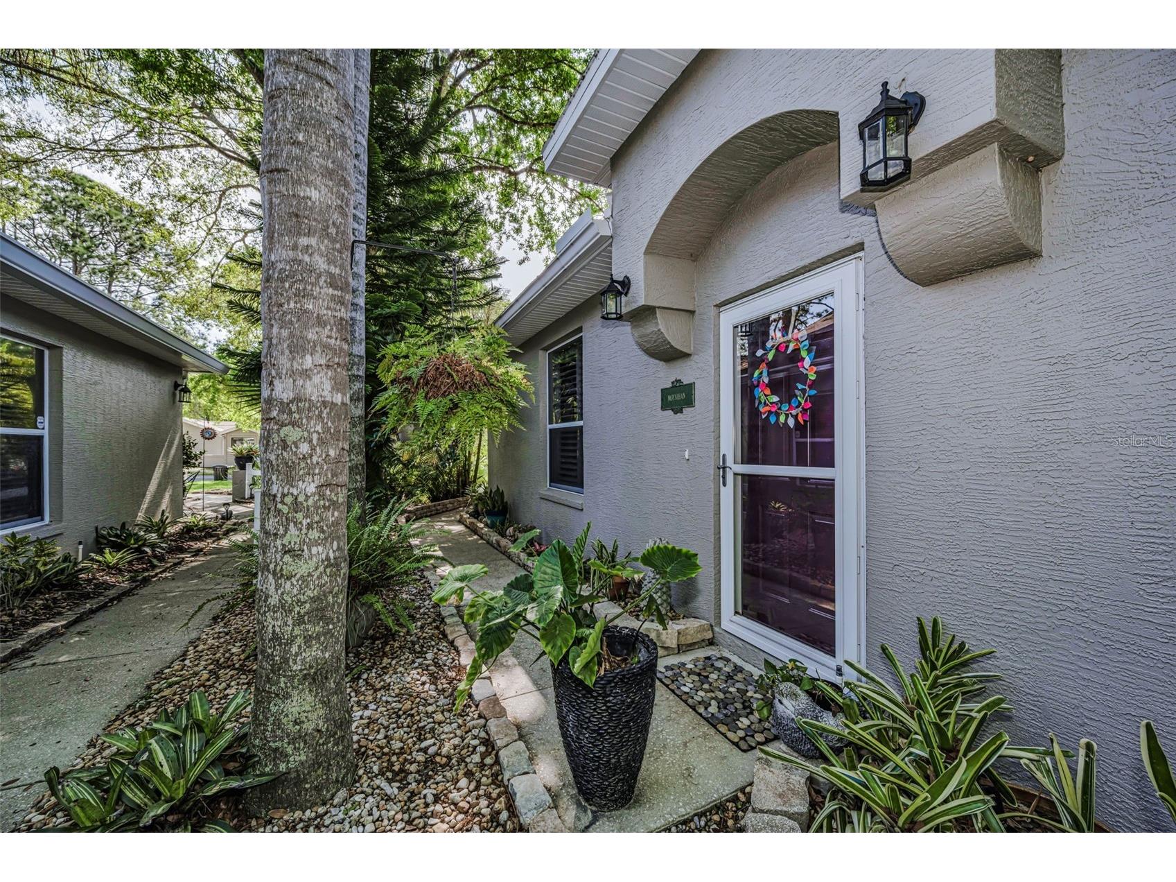 3164 Brooker Creek Way Palm Harbor FL 34685 TB8486837 image5