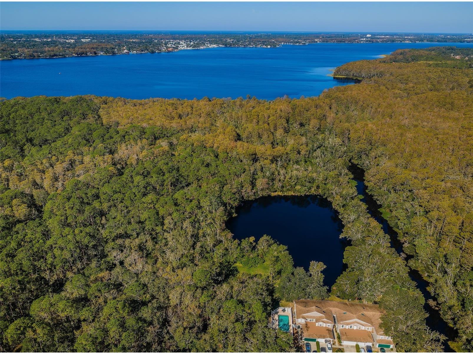 3164 Brooker Creek Way Palm Harbor FL 34685 TB8486837 image50