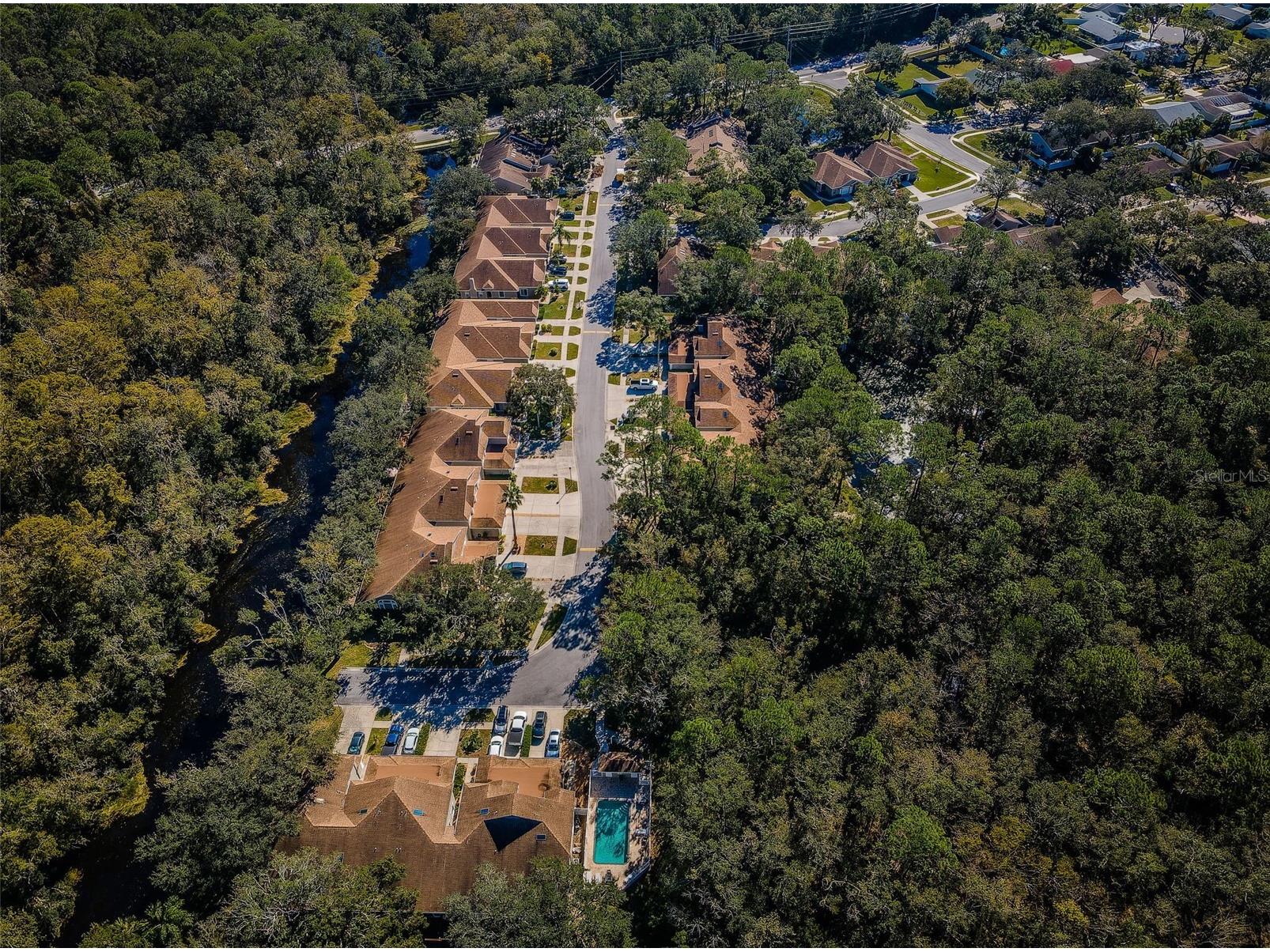 3164 Brooker Creek Way Palm Harbor FL 34685 TB8486837 image53