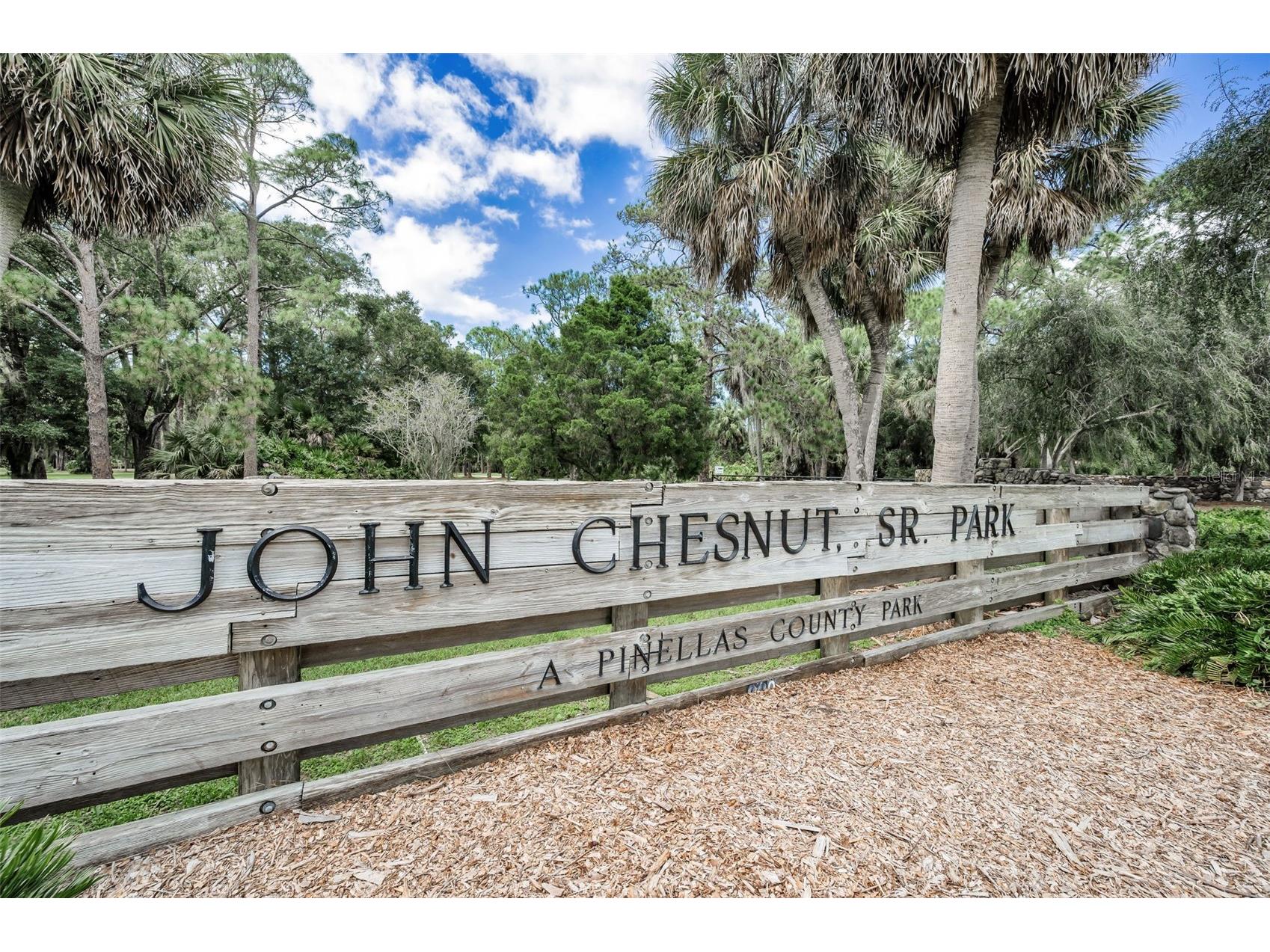 3164 Brooker Creek Way Palm Harbor FL 34685 TB8486837 image54