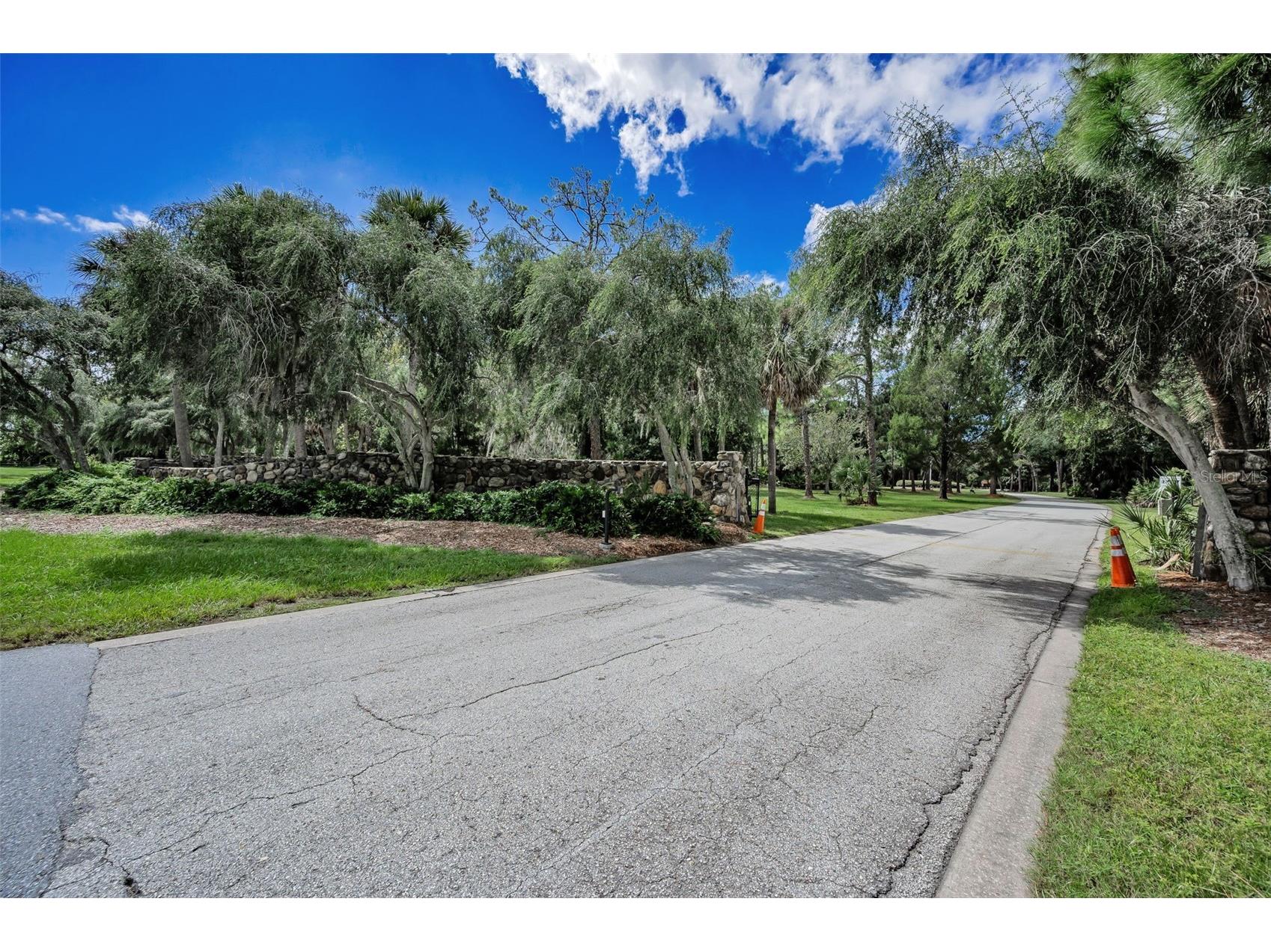 3164 Brooker Creek Way Palm Harbor FL 34685 TB8486837 image55