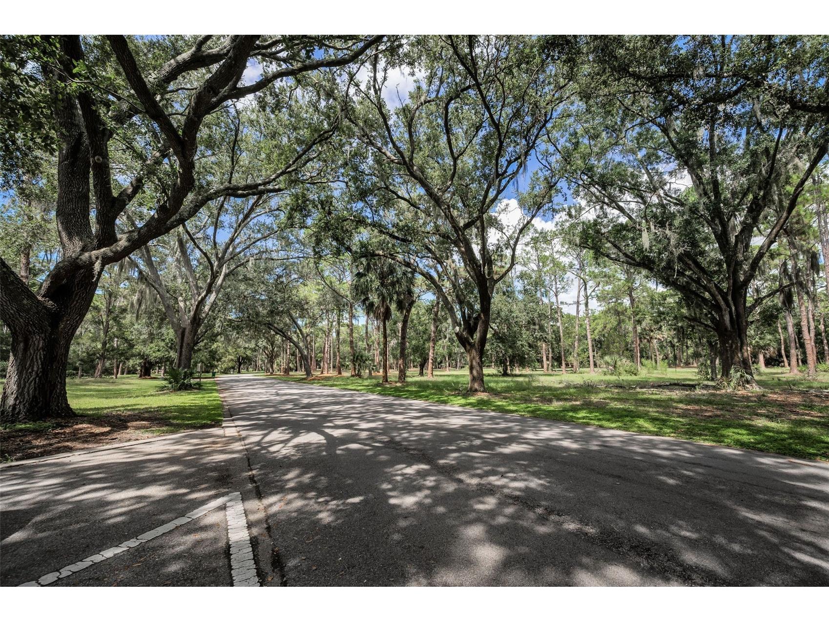 3164 Brooker Creek Way Palm Harbor FL 34685 TB8486837 image57