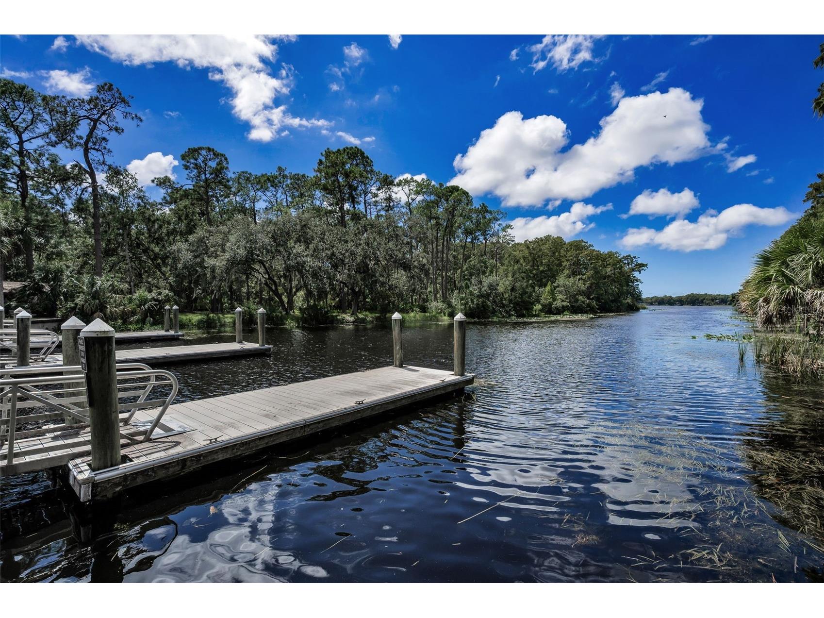 3164 Brooker Creek Way Palm Harbor FL 34685 TB8486837 image59