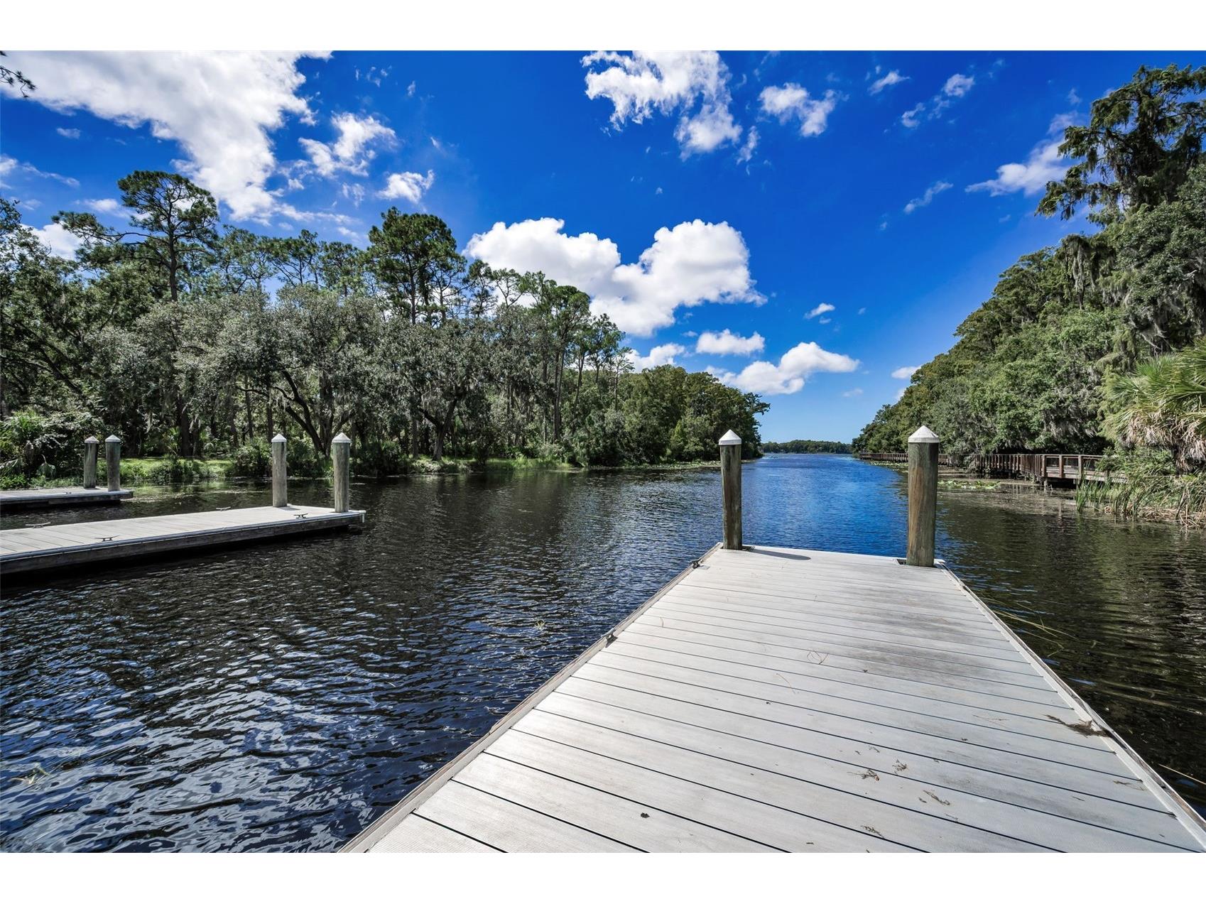 3164 Brooker Creek Way Palm Harbor FL 34685 TB8486837 image60