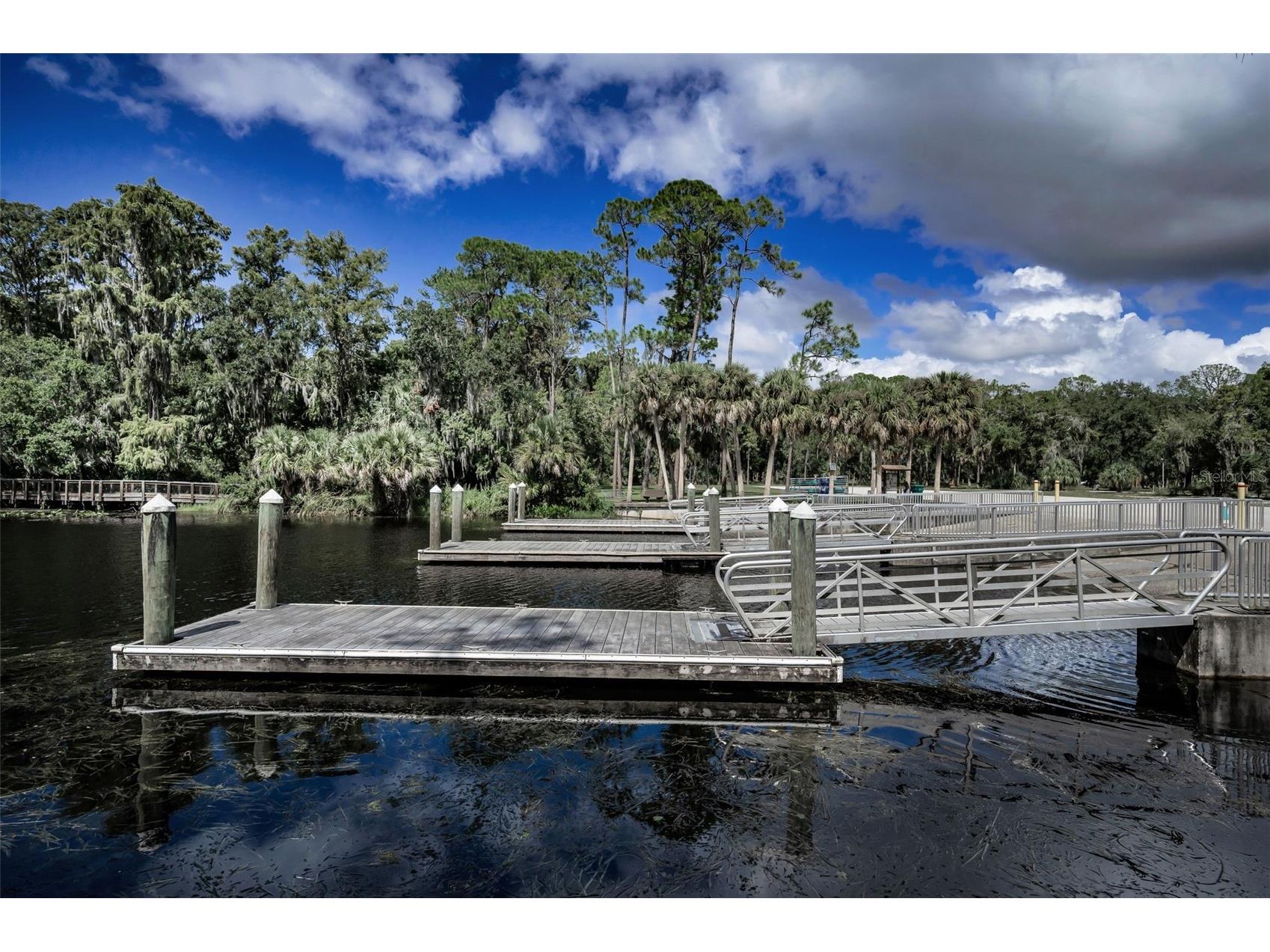 3164 Brooker Creek Way Palm Harbor FL 34685 TB8486837 image62