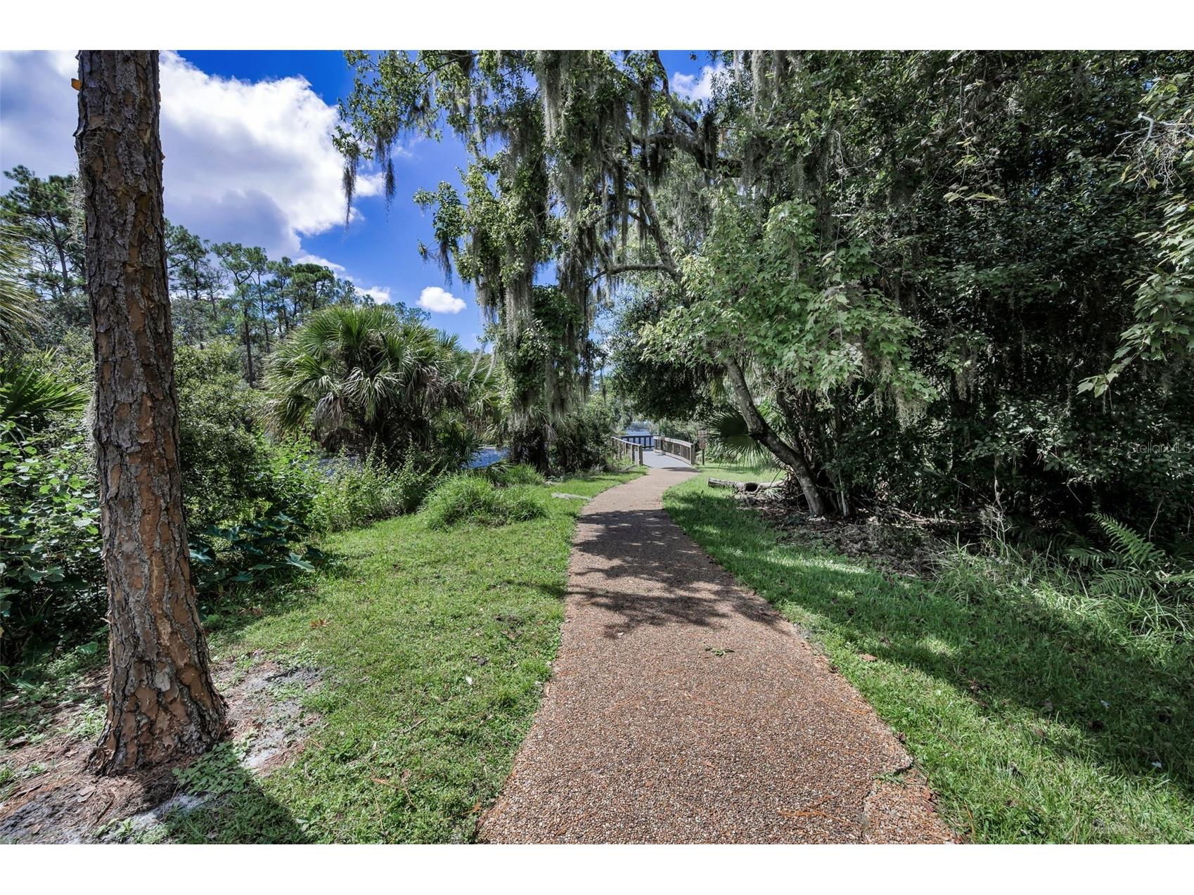 3164 Brooker Creek Way Palm Harbor FL 34685 TB8486837 image63